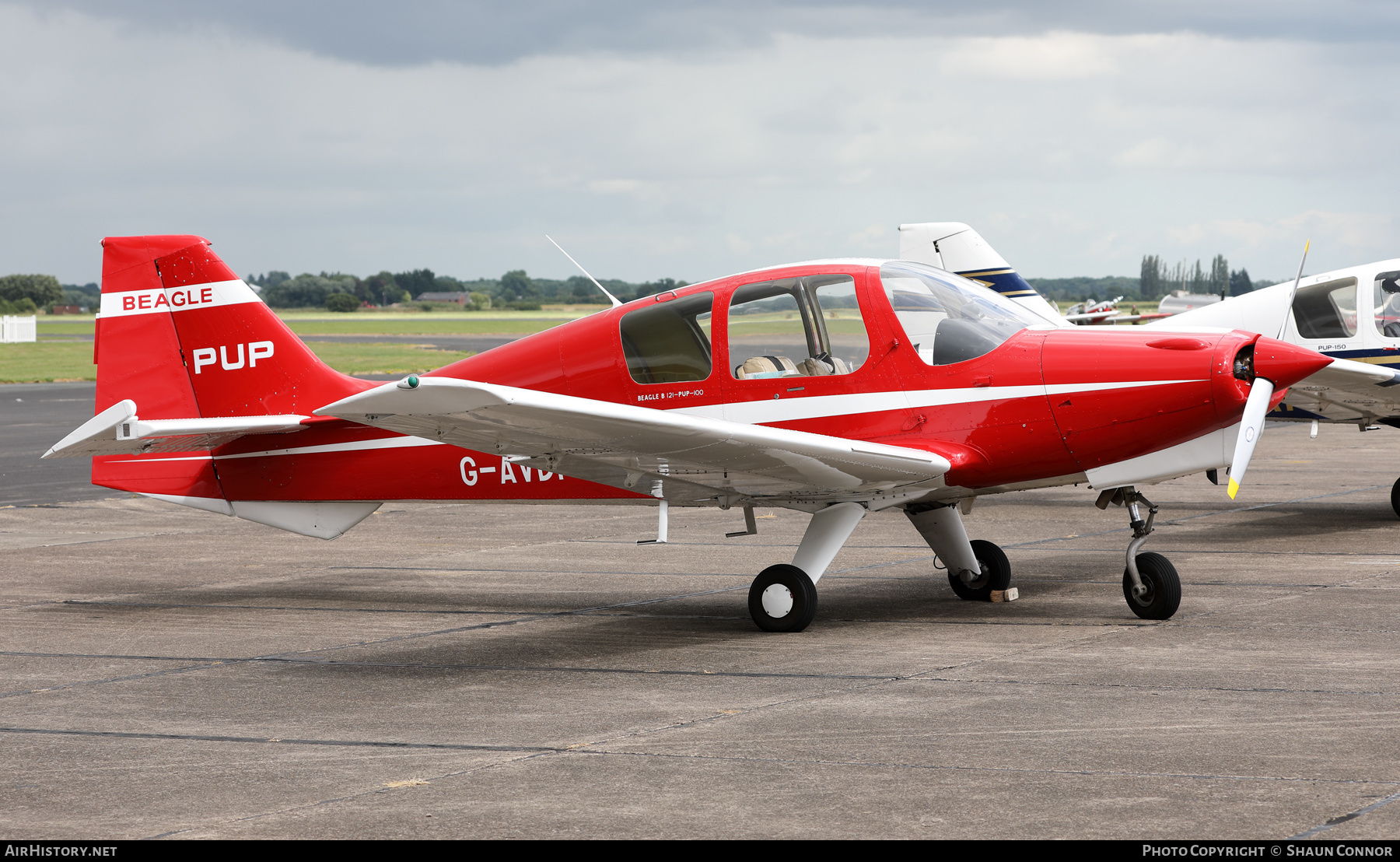 Aircraft Photo of G-AVDF | Beagle B.121 Srs.1 Pup-100 | AirHistory.net #583170