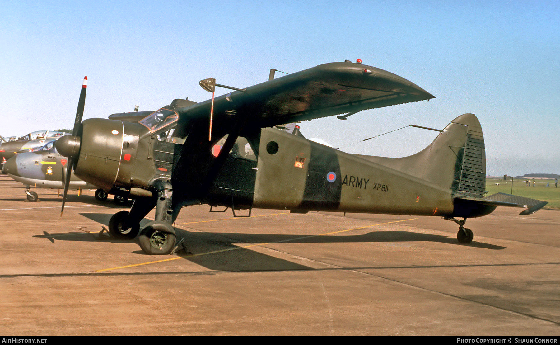 Aircraft Photo of XP811 | De Havilland Canada DHC-2 Beaver AL.1 | UK - Army | AirHistory.net #583343