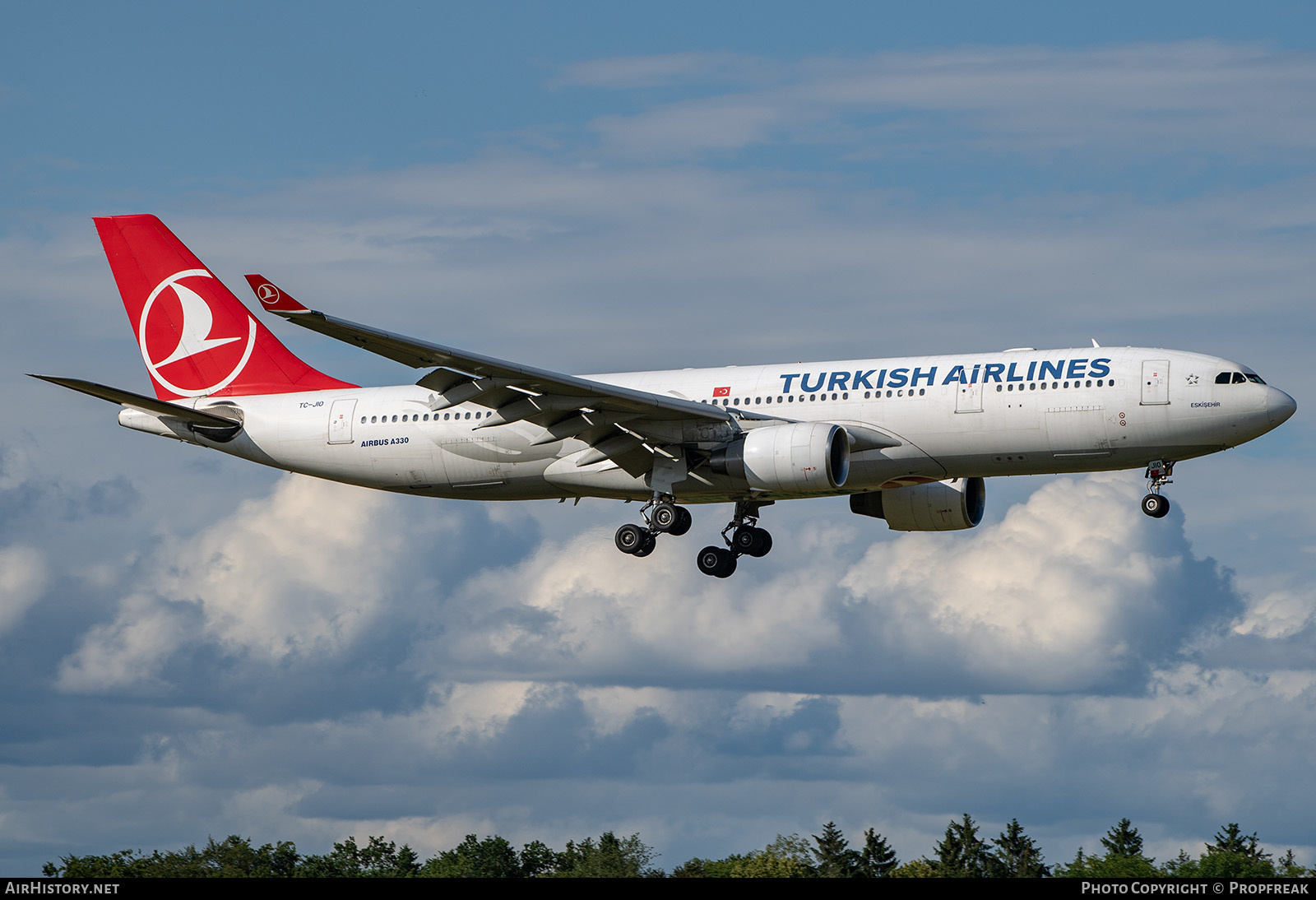 Aircraft Photo of TC-JIO | Airbus A330-223 | Turkish Airlines | AirHistory.net #583426