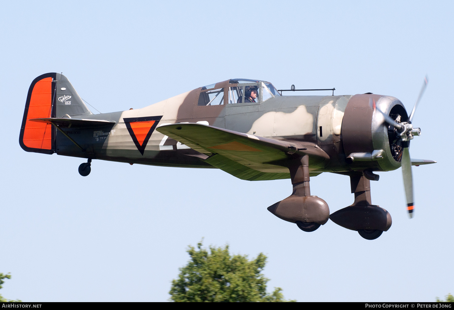 Aircraft Photo of PH-XXI / 229 | Fokker D.XXI (replica) | Netherlands - Air Force | AirHistory.net #584499