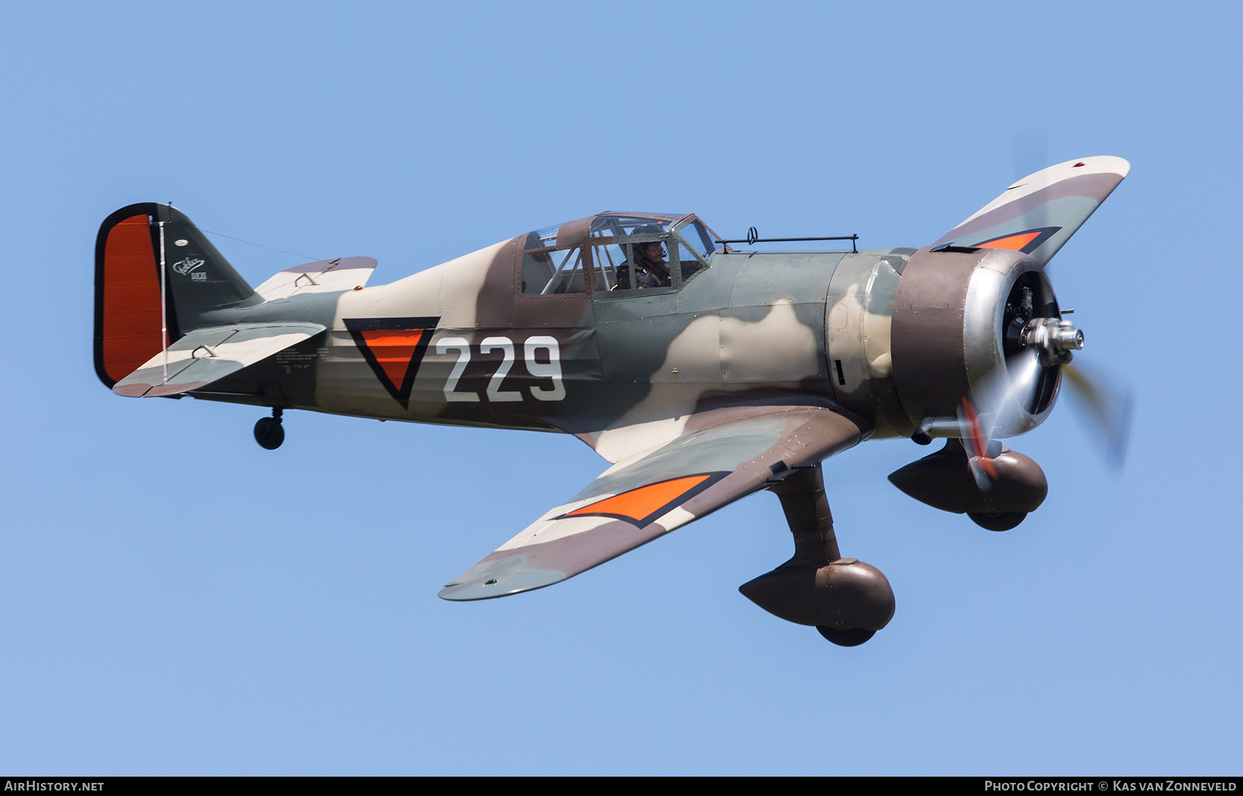 Aircraft Photo of PH-XXI / 229 | Fokker D.XXI (replica) | Netherlands - Air Force | AirHistory.net #584695