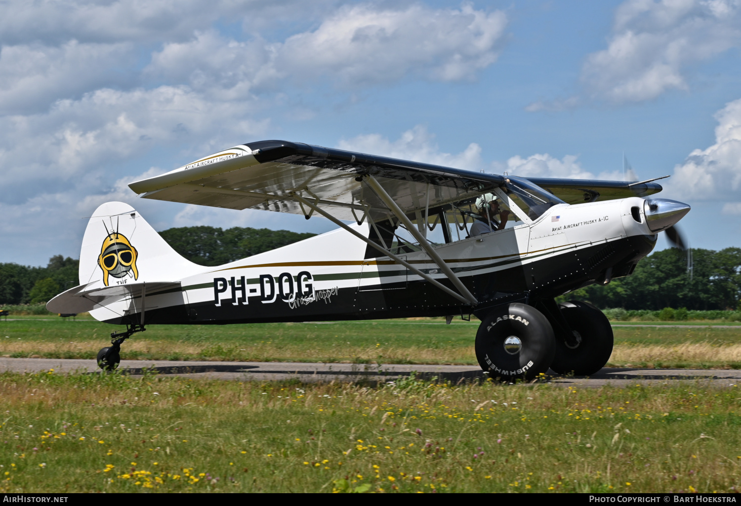 Aircraft Photo of PH-DOG | Aviat A-1C-180 Husky | AirHistory.net #584955