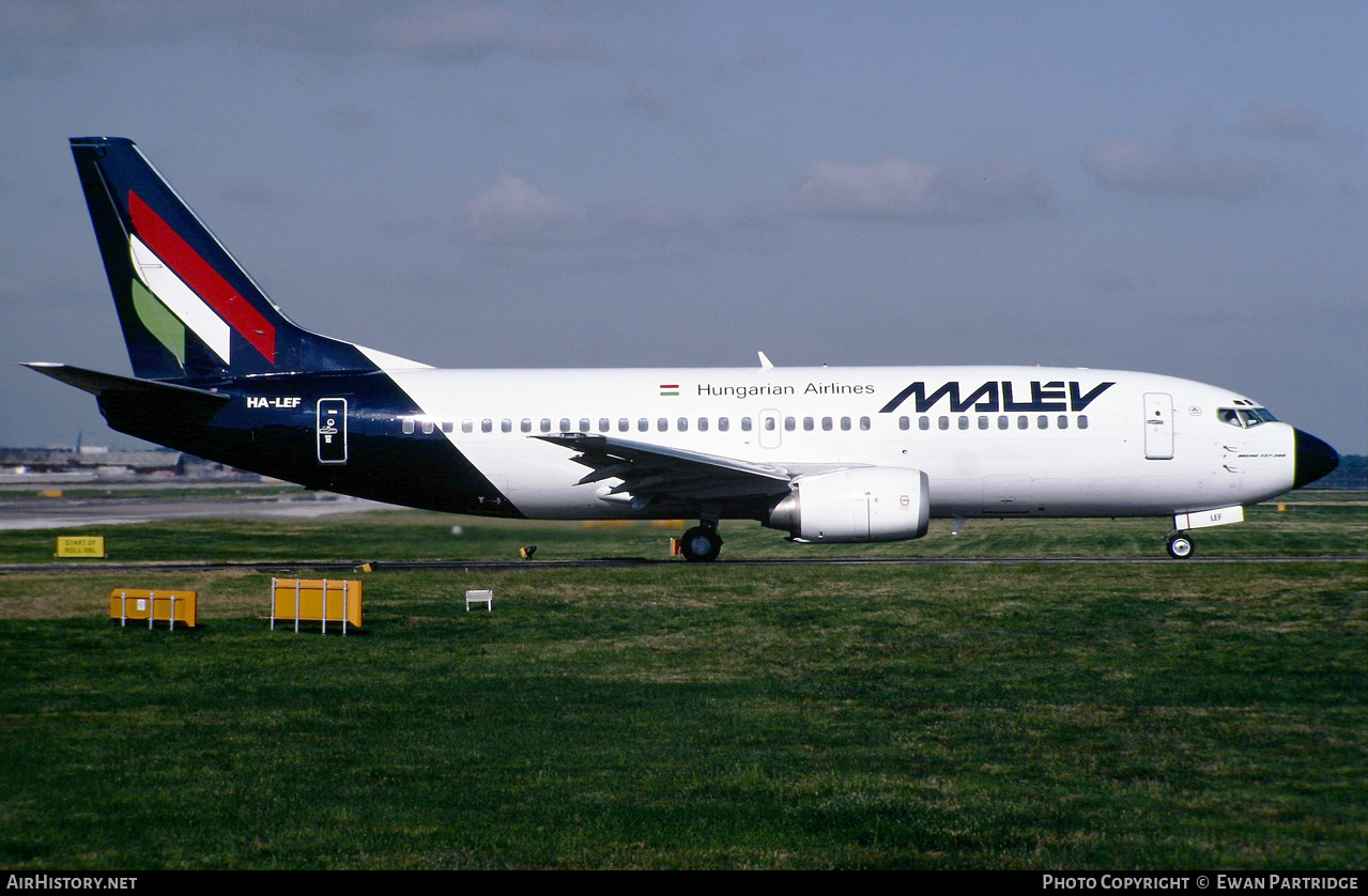 Aircraft Photo of HA-LEF | Boeing 737-3Y0 | Malév - Hungarian Airlines | AirHistory.net #585133