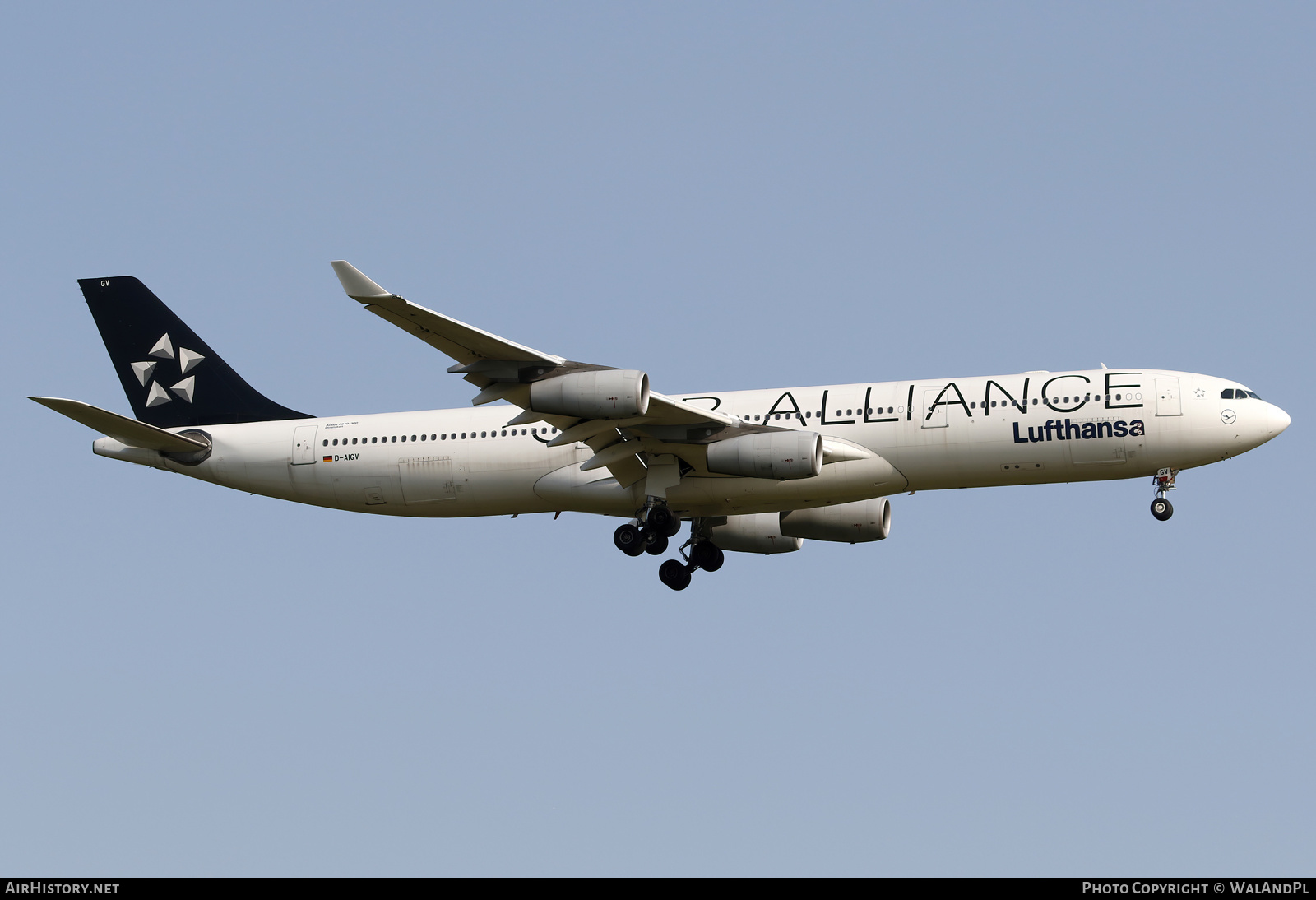 Aircraft Photo of D-AIGV | Airbus A340-313 | Lufthansa | AirHistory.net #585422