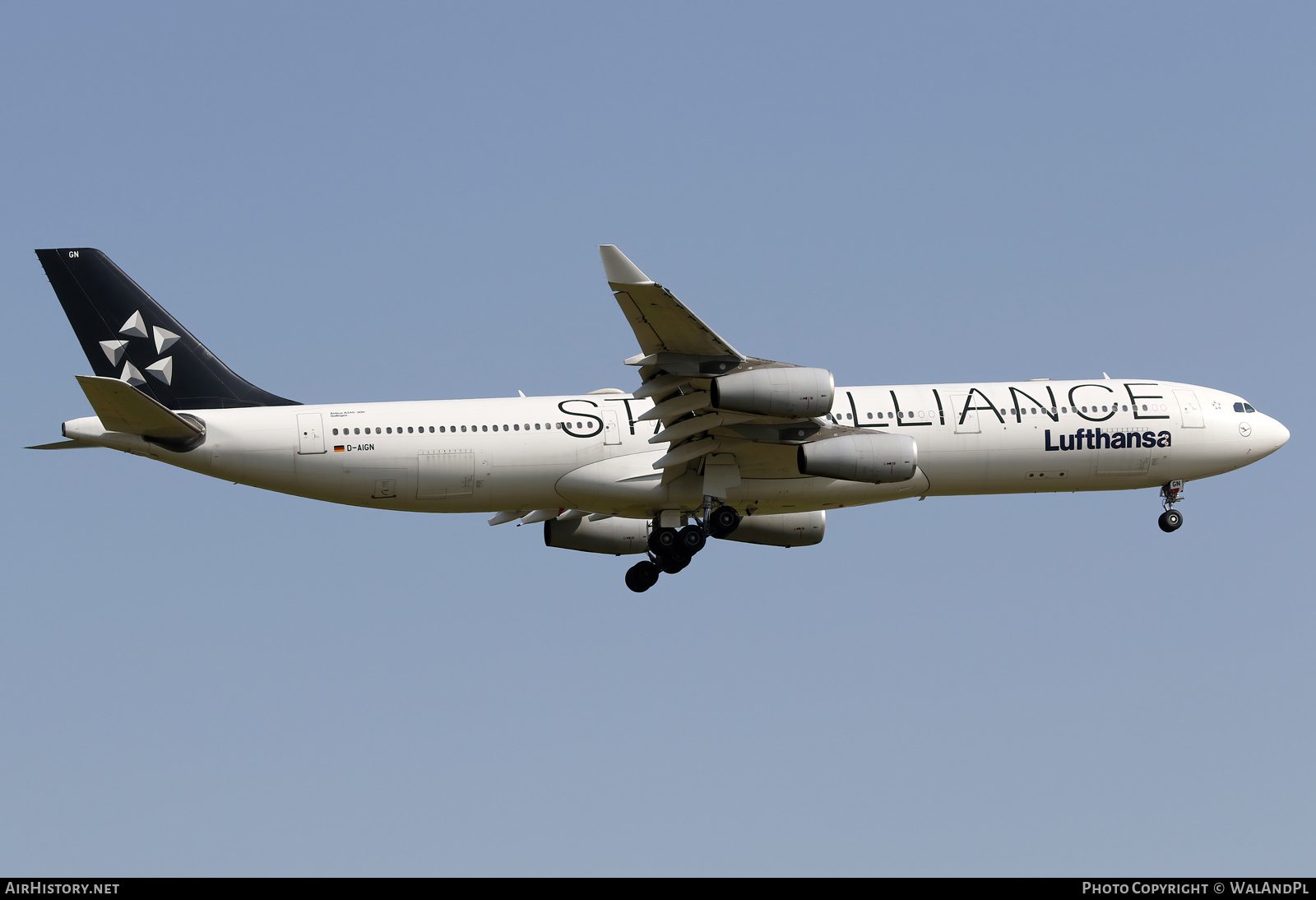 Aircraft Photo of D-AIGN | Airbus A340-313 | Lufthansa | AirHistory.net #585746