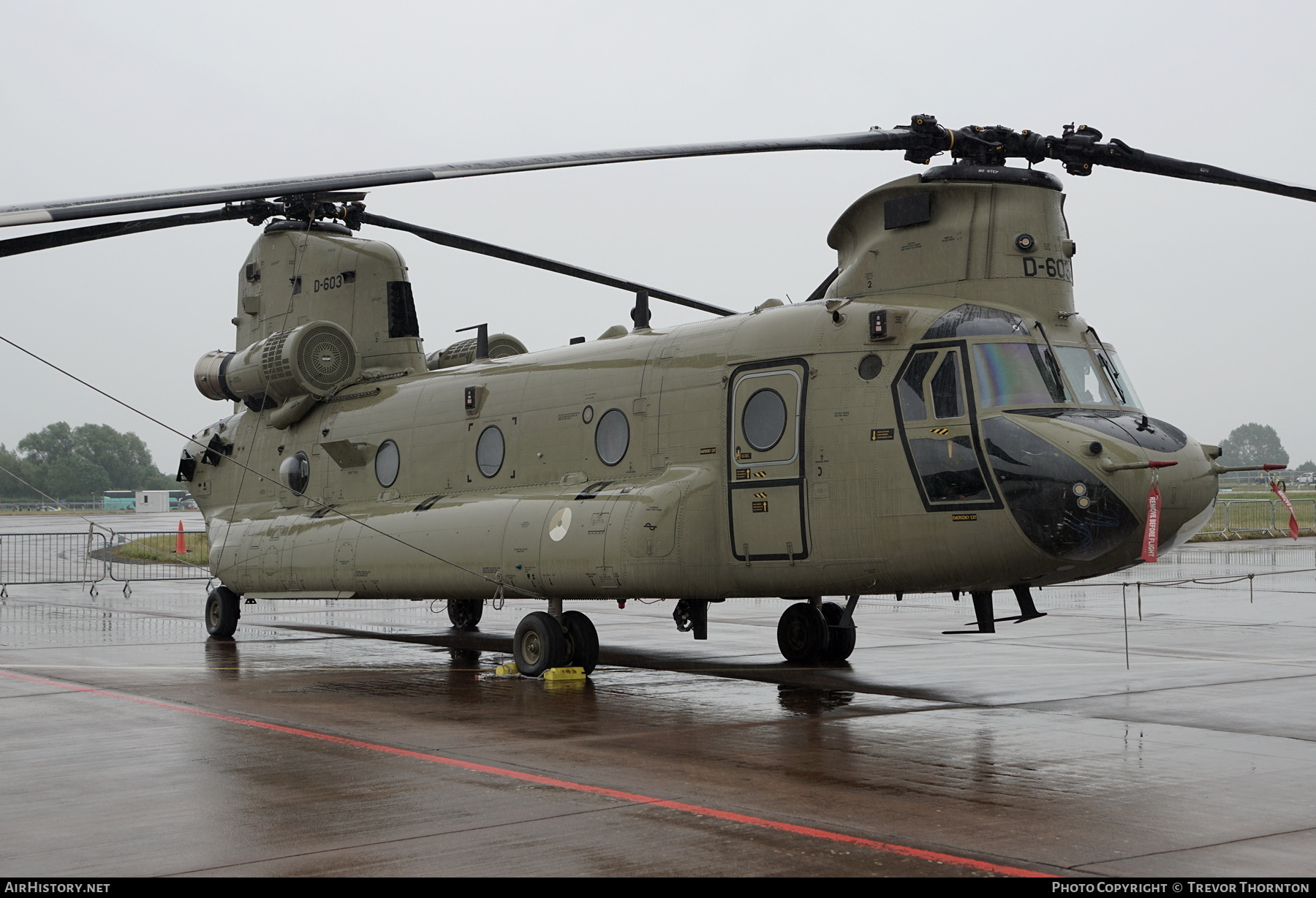 Aircraft Photo of D-603 | Boeing CH-47F Chinook (414) | Netherlands - Air Force | AirHistory.net #586399