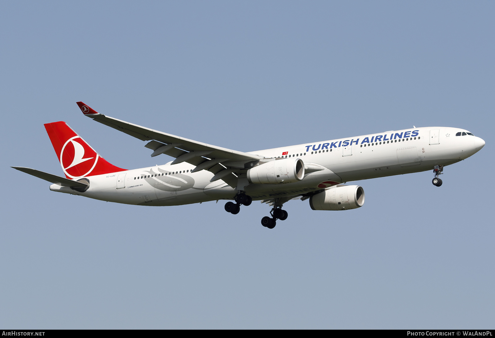 Aircraft Photo of TC-LOC | Airbus A330-343 | Turkish Airlines | AirHistory.net #586630