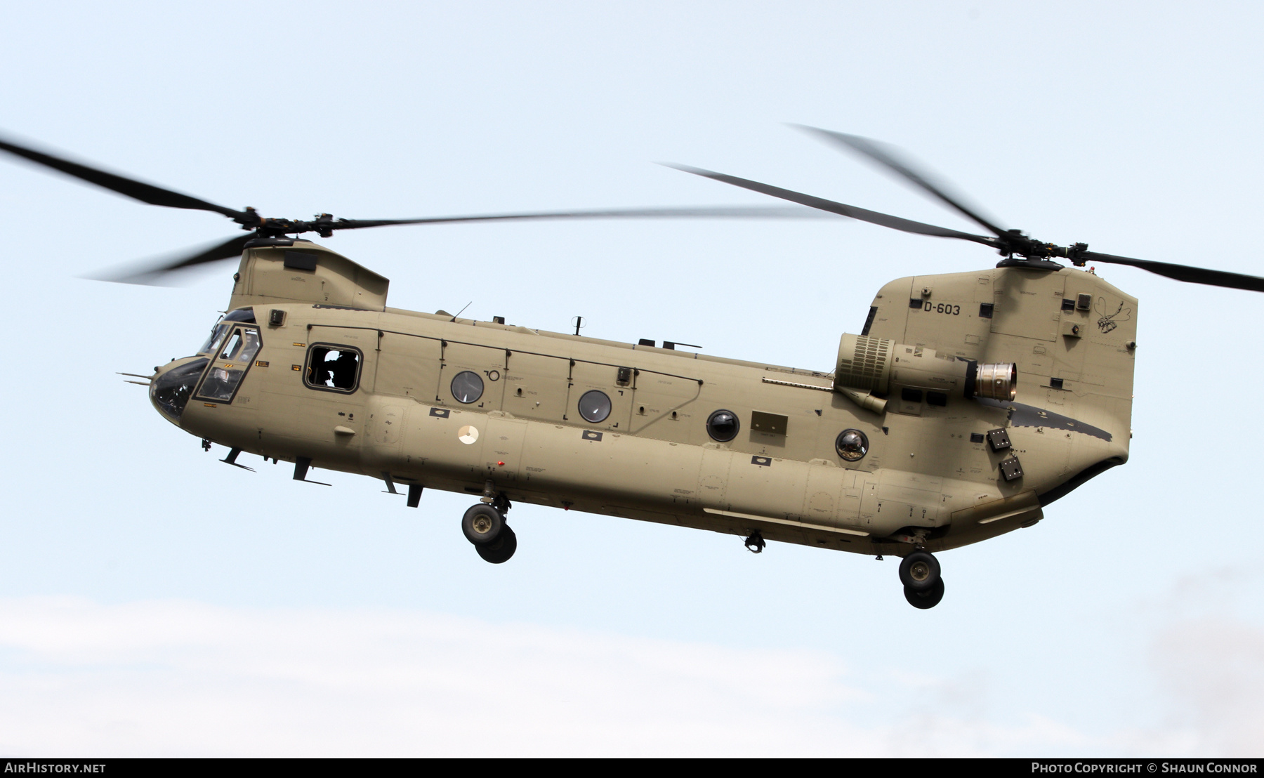 Aircraft Photo of D-603 | Boeing CH-47F Chinook (414) | Netherlands - Air Force | AirHistory.net #586667