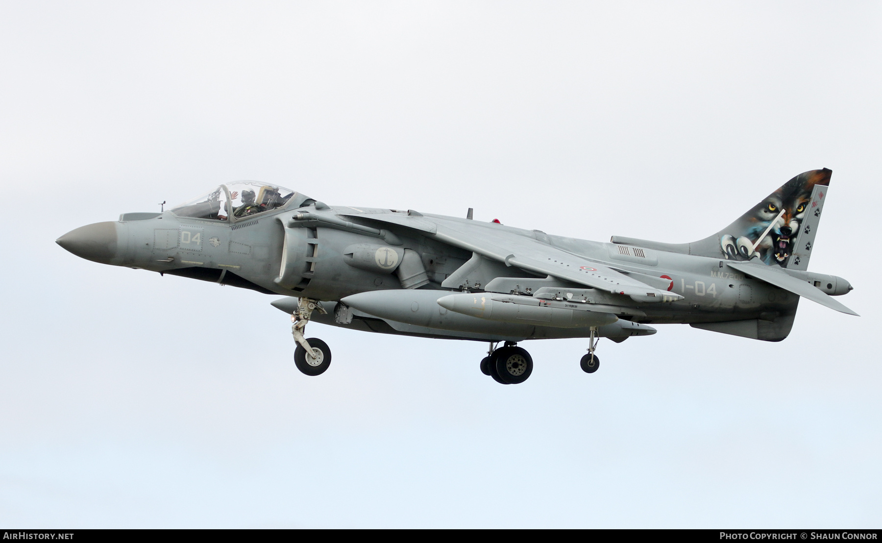 Aircraft Photo of MM7200 | Boeing AV-8B Harrier II+ | Italy - Navy | AirHistory.net #586683