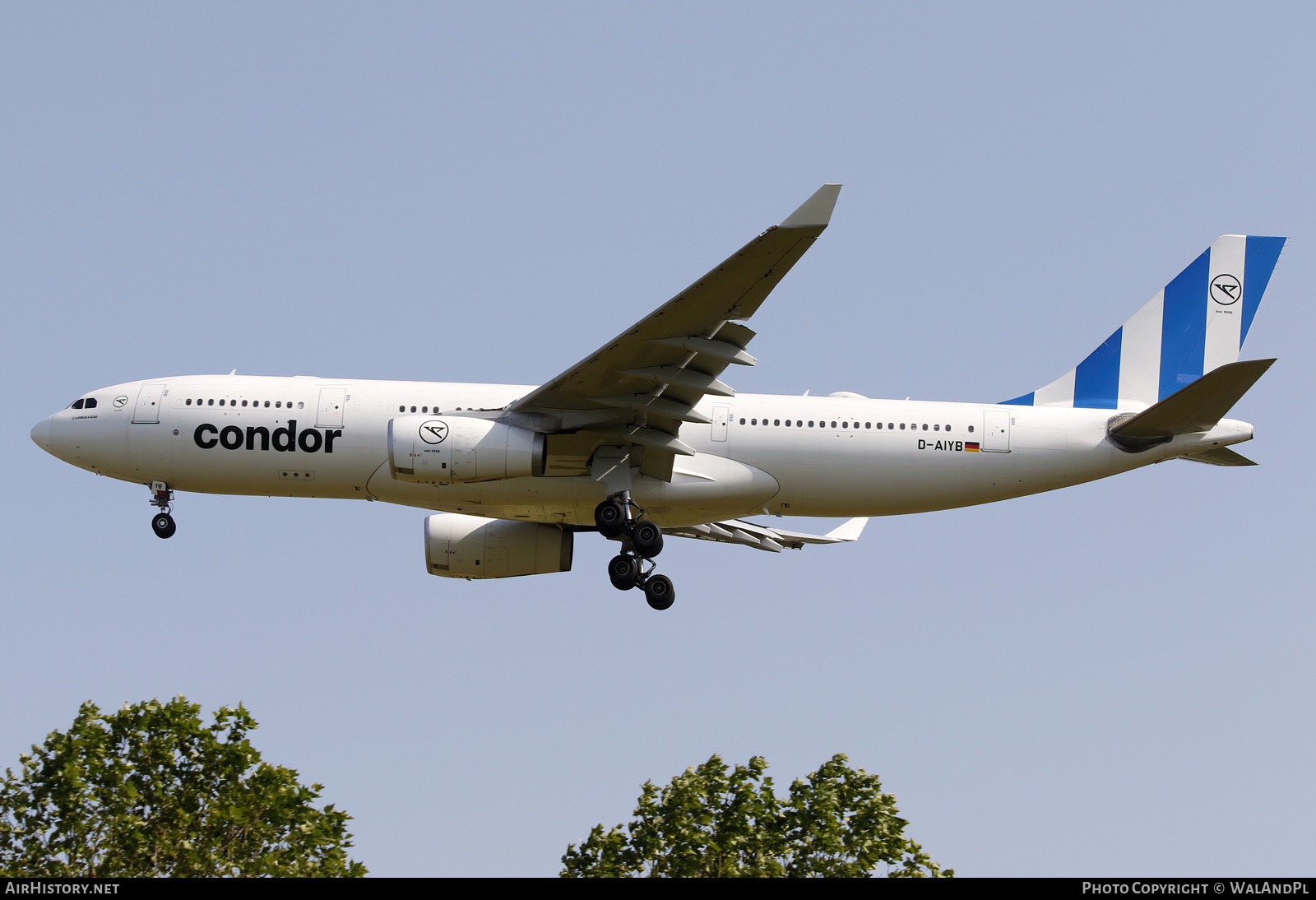 Aircraft Photo of D-AIYB | Airbus A330-243 | Condor Flugdienst | AirHistory.net #587350