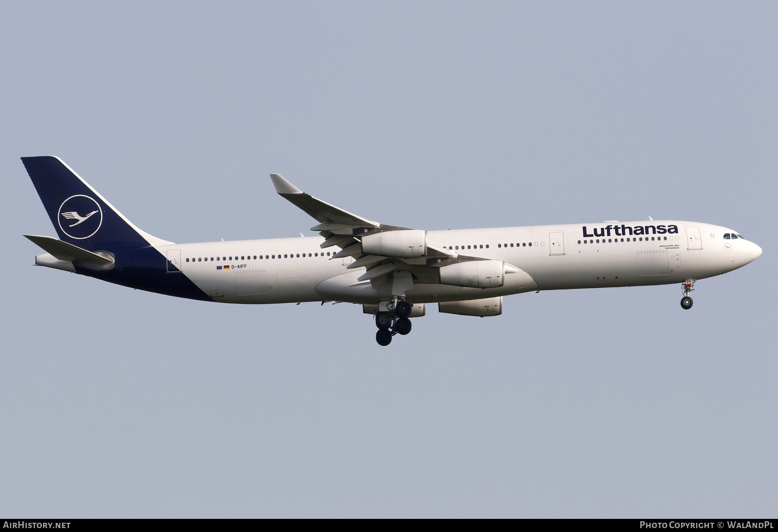 Aircraft Photo of D-AIFF | Airbus A340-313 | Lufthansa | AirHistory.net #587396