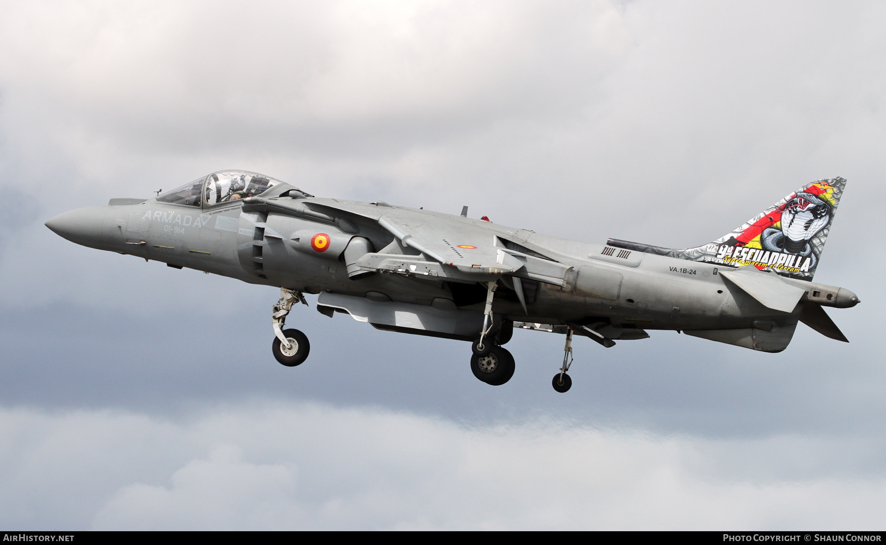 Aircraft Photo of VA1B-24 | McDonnell Douglas EAV-8B Matador II+ | Spain - Navy | AirHistory.net #587520