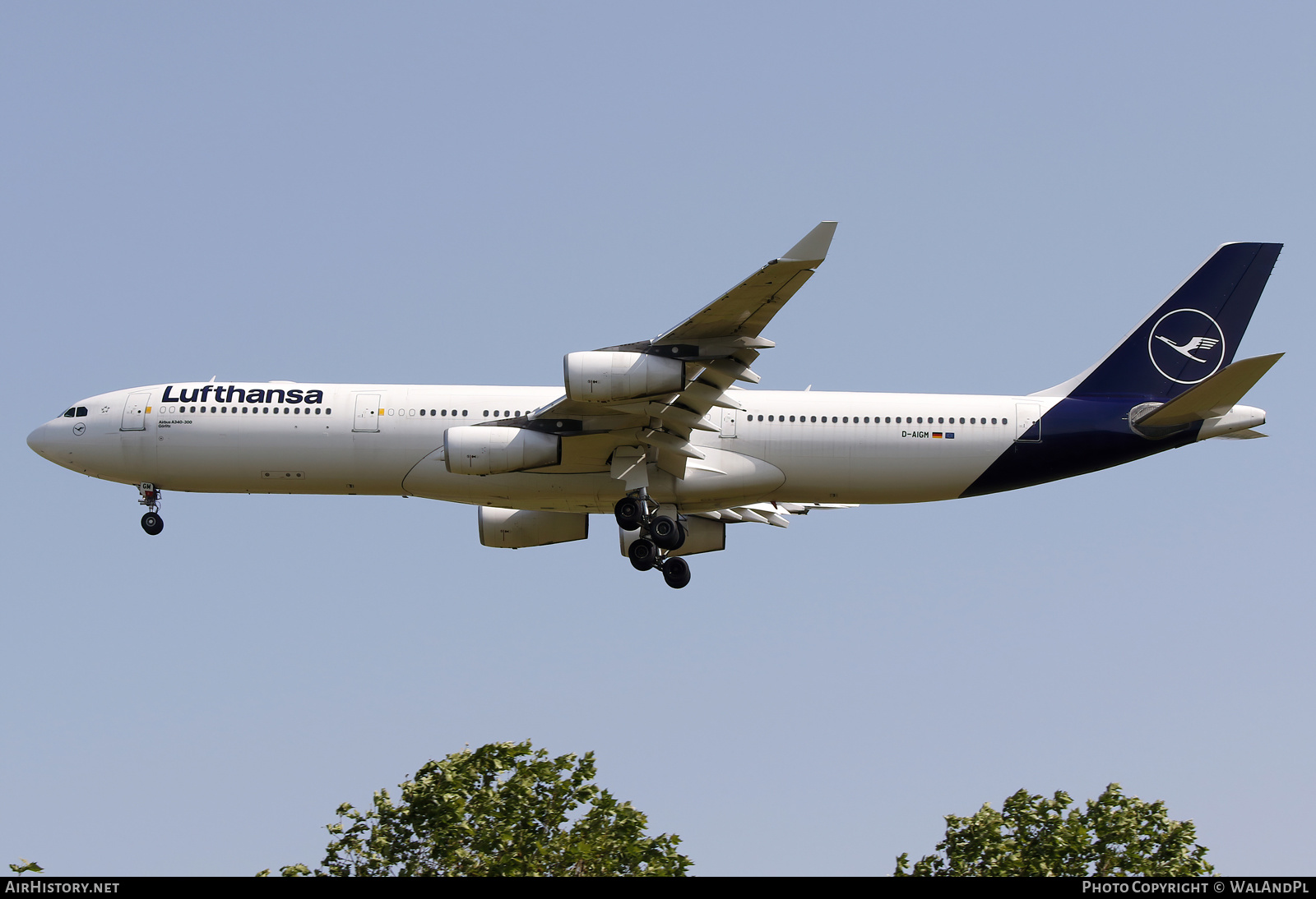 Aircraft Photo of D-AIGM | Airbus A340-313 | Lufthansa | AirHistory.net #589038