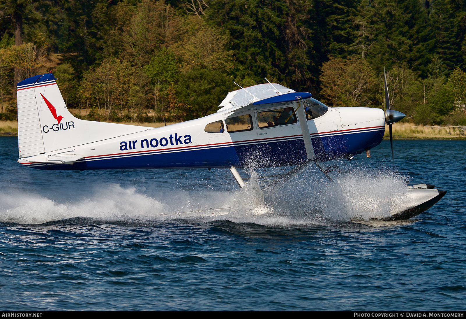 Aircraft Photo of C-GIUR | Cessna A185F Skywagon 185 | Air Nootka | AirHistory.net #589697