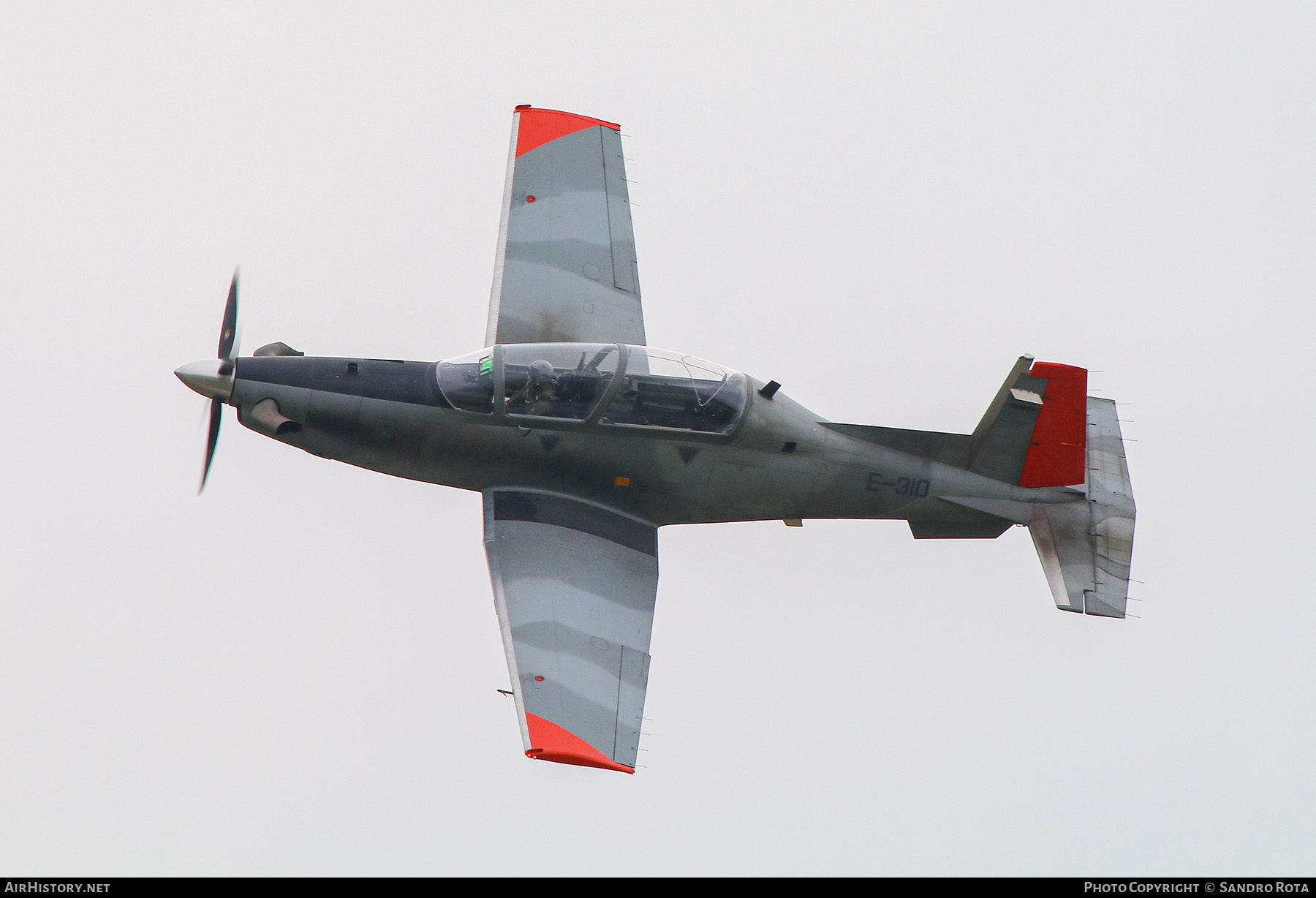 Aircraft Photo of E-310 | Beechcraft T-6C Texan II | Argentina - Air Force | AirHistory.net #590088