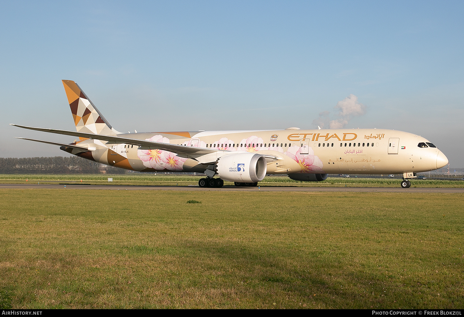 Aircraft Photo of A6-BLK | Boeing 787-9 Dreamliner | Etihad Airways | AirHistory.net #590279