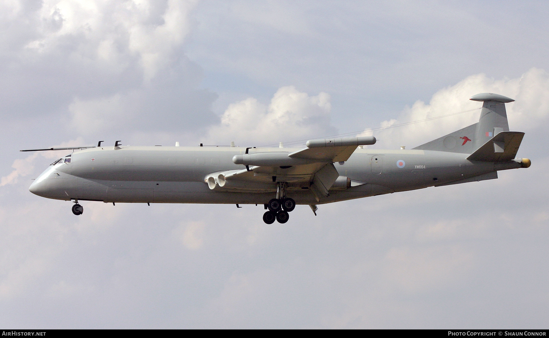 Aircraft Photo of XW664 | Hawker Siddeley HS-801 Nimrod R.1P | UK - Air Force | AirHistory.net #591509
