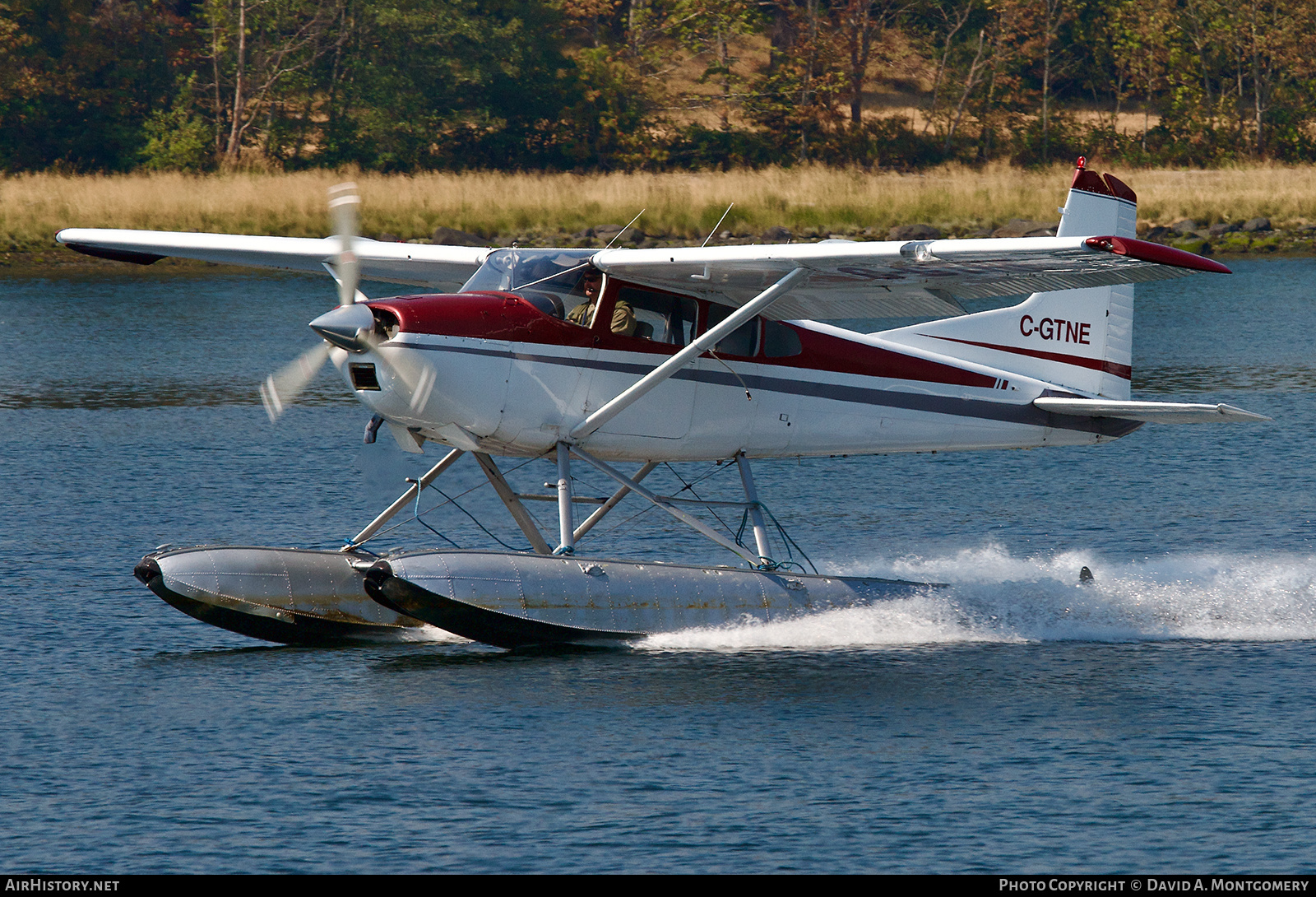 Aircraft Photo of C-GTNE | Cessna A185E Skywagon 185 | AirHistory.net #592048