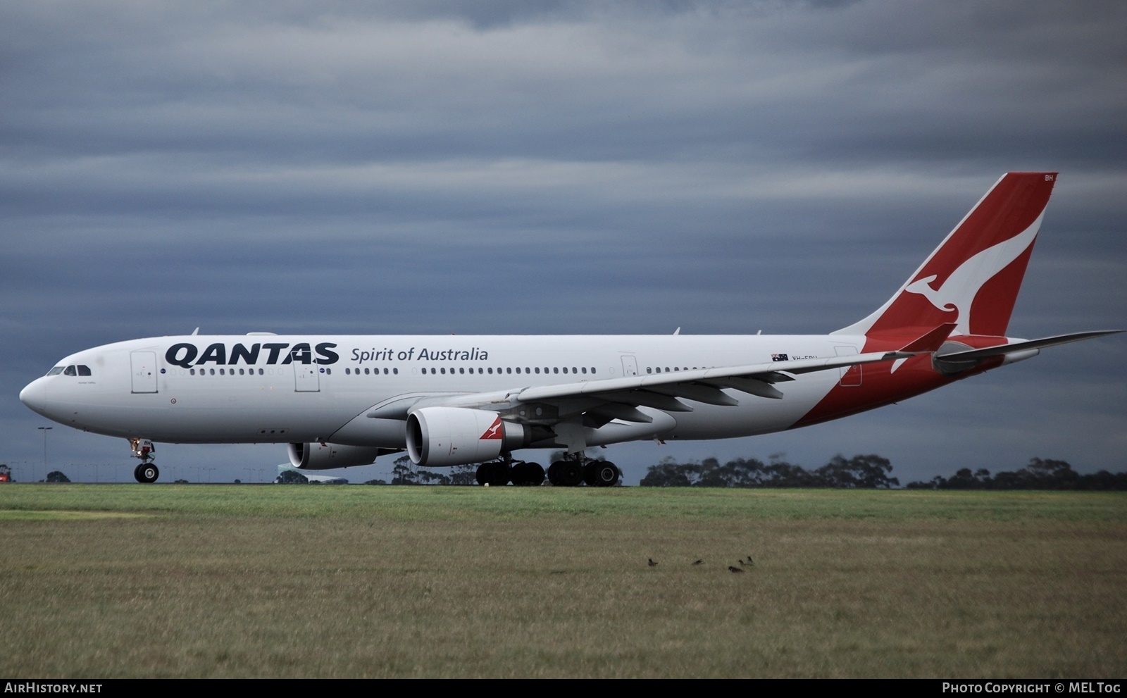 Aircraft Photo of VH-EBH | Airbus A330-203 | Qantas | AirHistory.net #592611