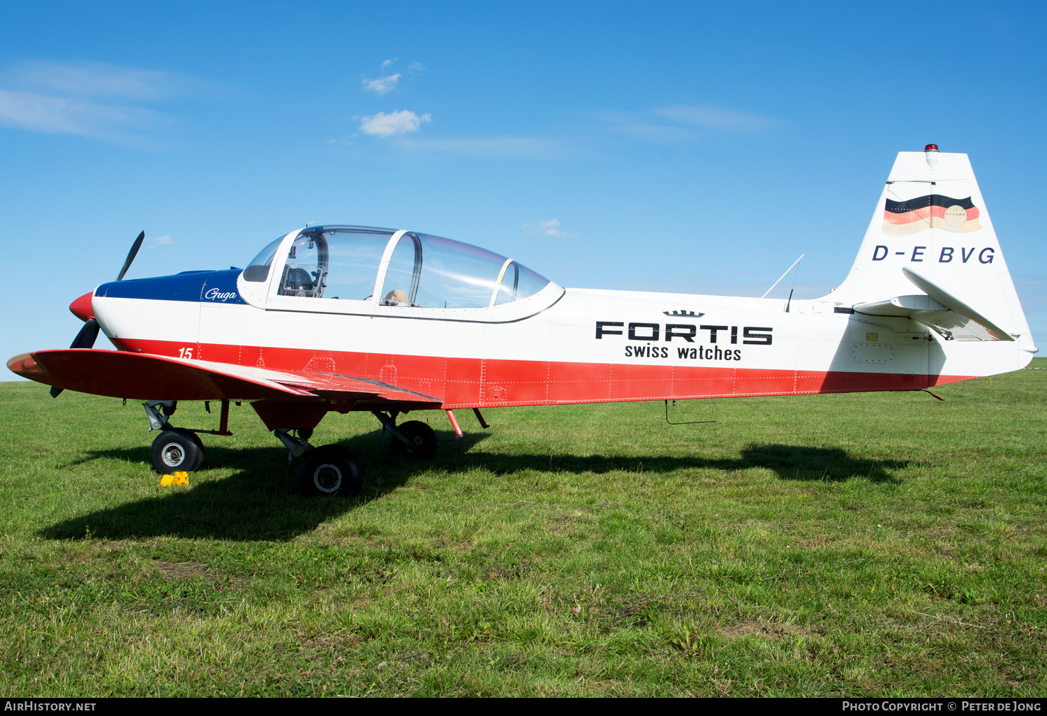 Aircraft Photo of D-EBVG | SIAT 223A-1 Flamingo | AirHistory.net #593590