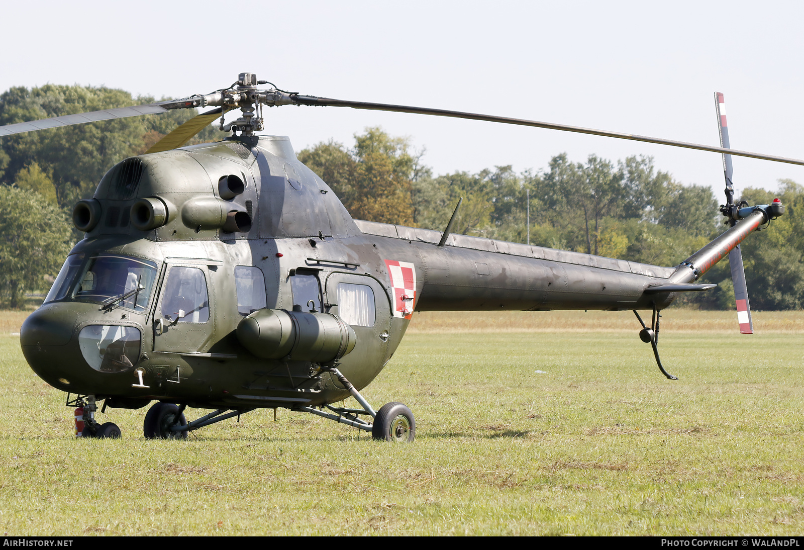Aircraft Photo of 5344 | Mil Mi-2RL | Poland - Air Force | AirHistory.net #593616