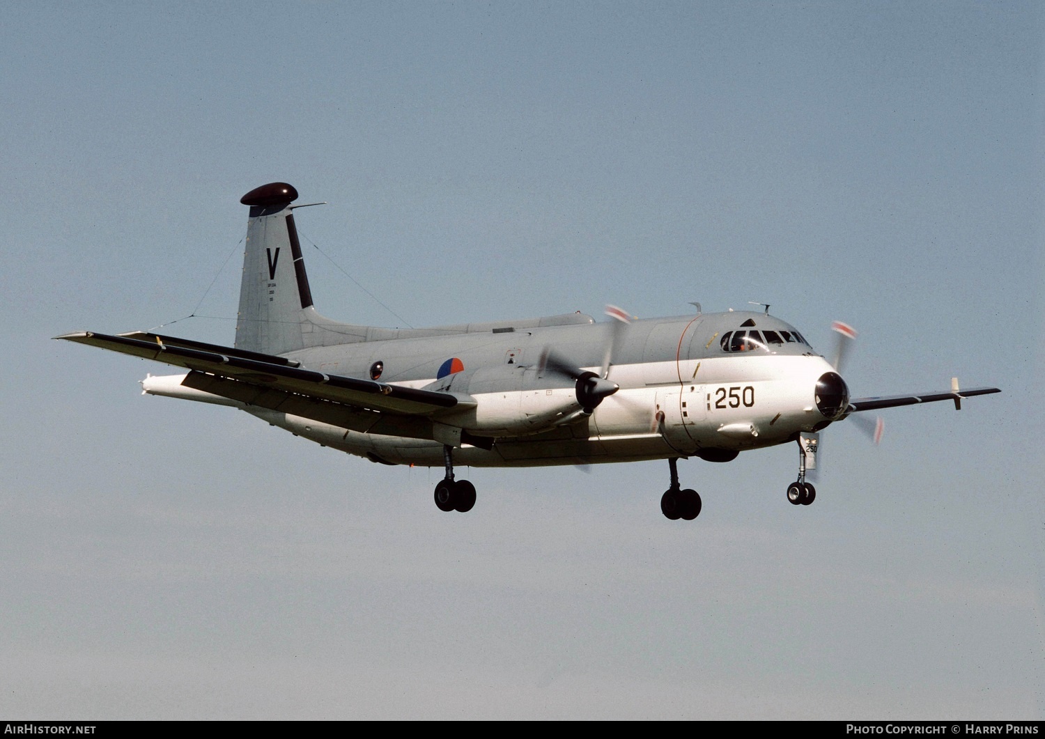 Aircraft Photo of 250 | Bréguet SP-13A Atlantic | Netherlands - Navy | AirHistory.net #593887