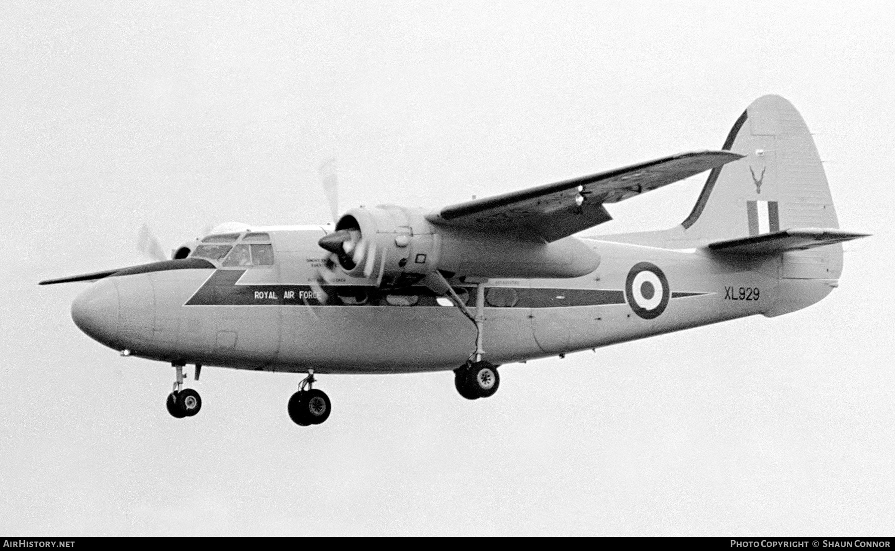 Aircraft Photo of XL929 | Hunting-Percival P.66 Pembroke C.1 | UK - Air Force | AirHistory.net #593960