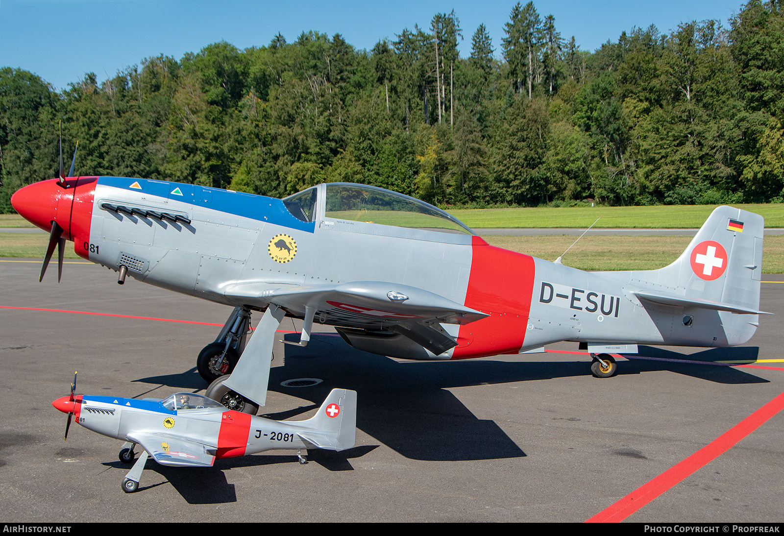 Aircraft Photo of D-ESUI | ScaleWings SW-51 Mustang | AirHistory.net #594015