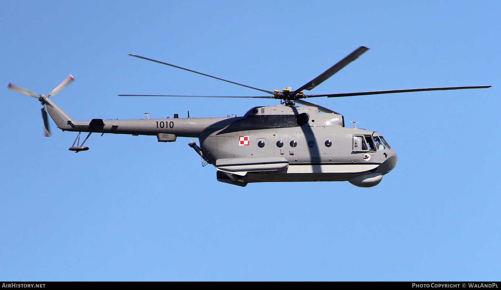 Aircraft Photo of 1010 | Mil Mi-14PL | Poland - Navy | AirHistory.net #594699