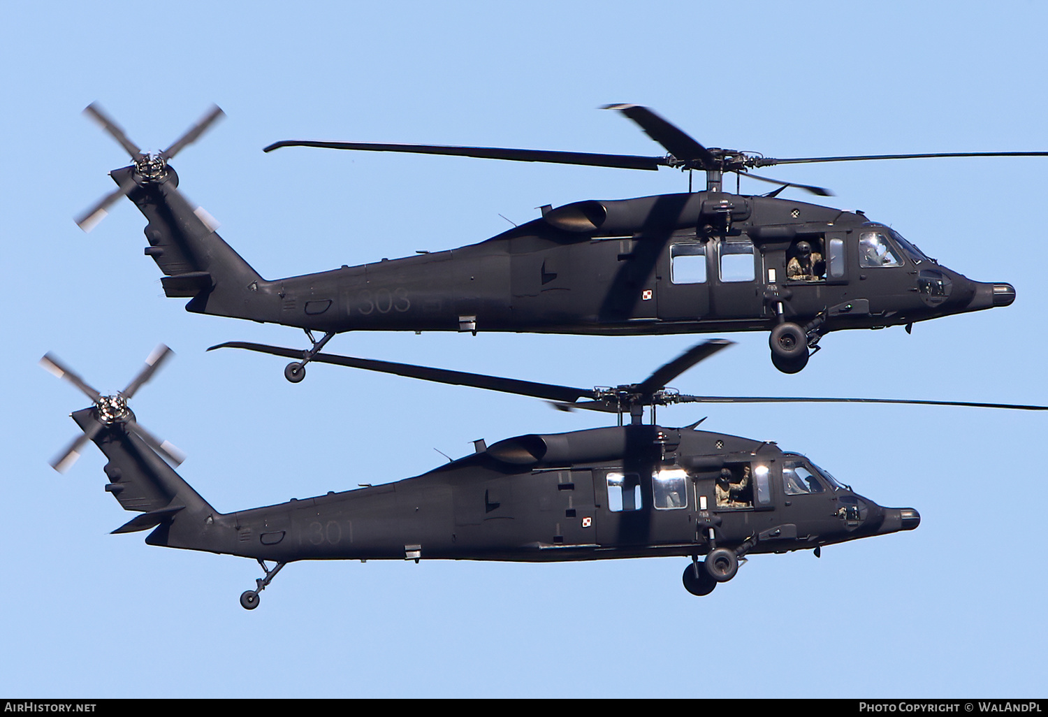 Aircraft Photo of 1303 | Sikorsky S-70i International Black Hawk | Poland - Army | AirHistory.net #595183