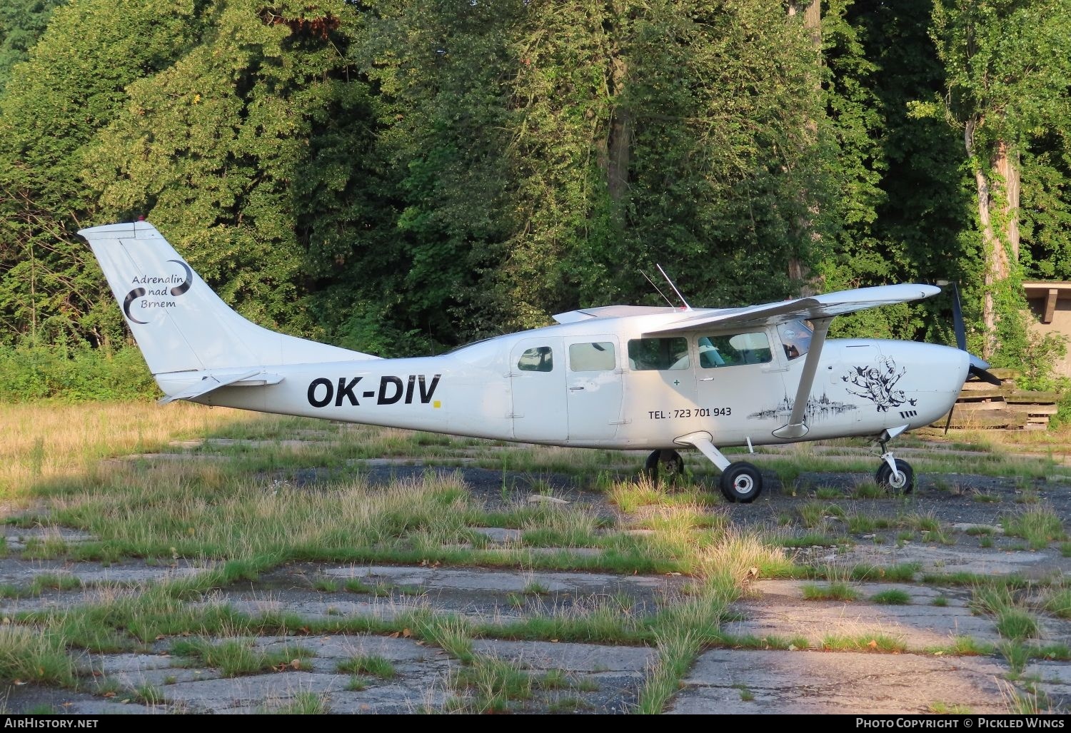 Aircraft Photo of OK-DIV | Cessna 207A Skywagon 207 | AirHistory.net #595343