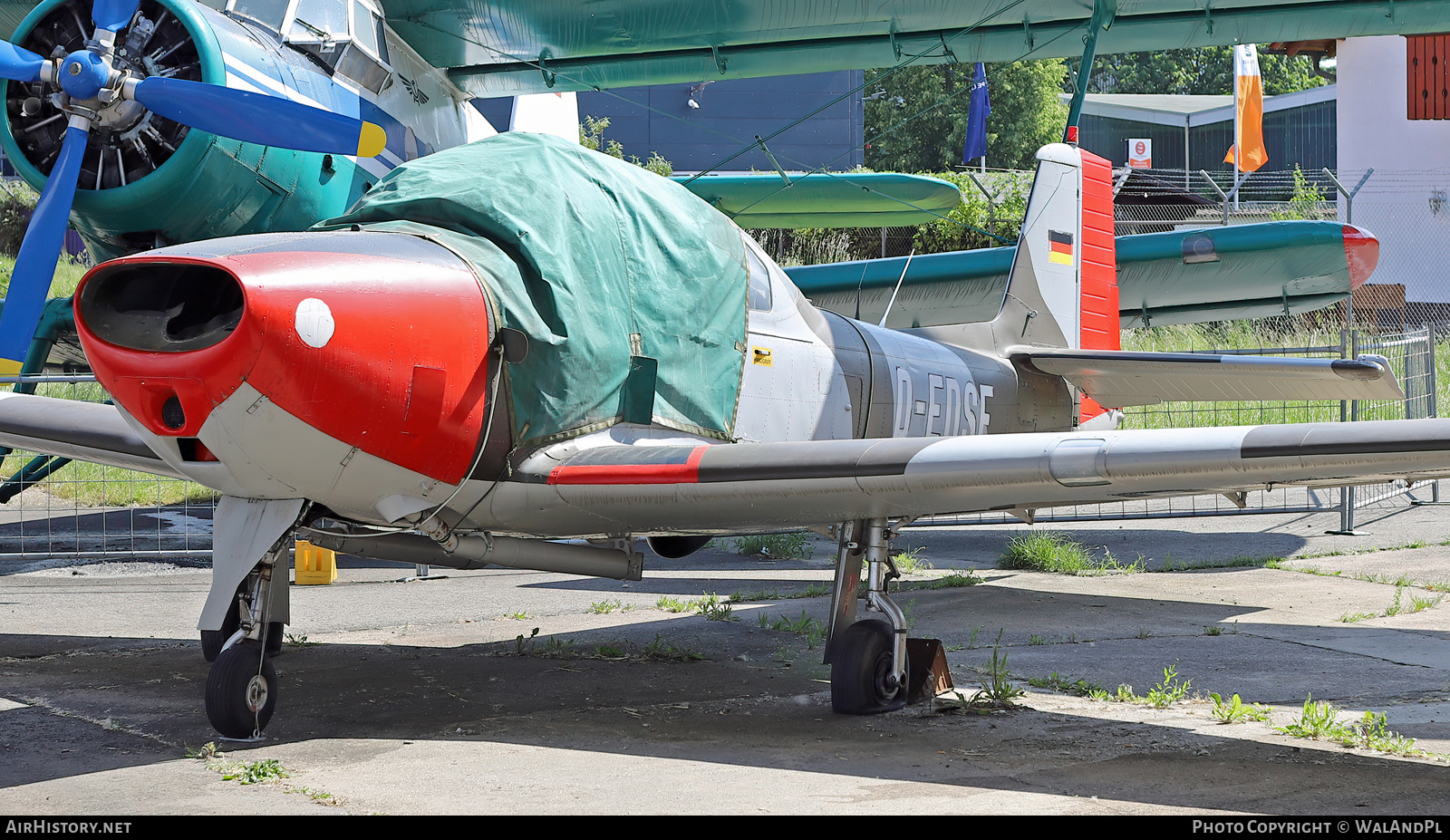 Aircraft Photo of D-EDSF | Piaggio P-149D | AirHistory.net #595753