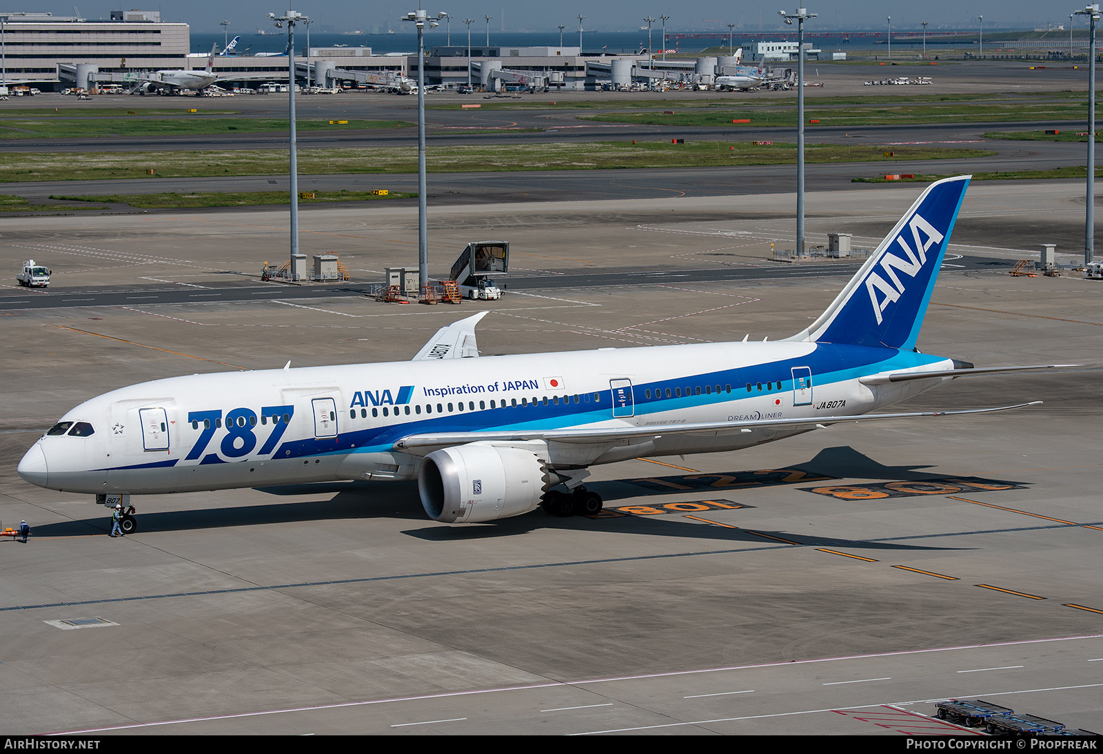 Aircraft Photo of JA807A | Boeing 787-8 Dreamliner | All Nippon Airways - ANA | AirHistory.net #596538