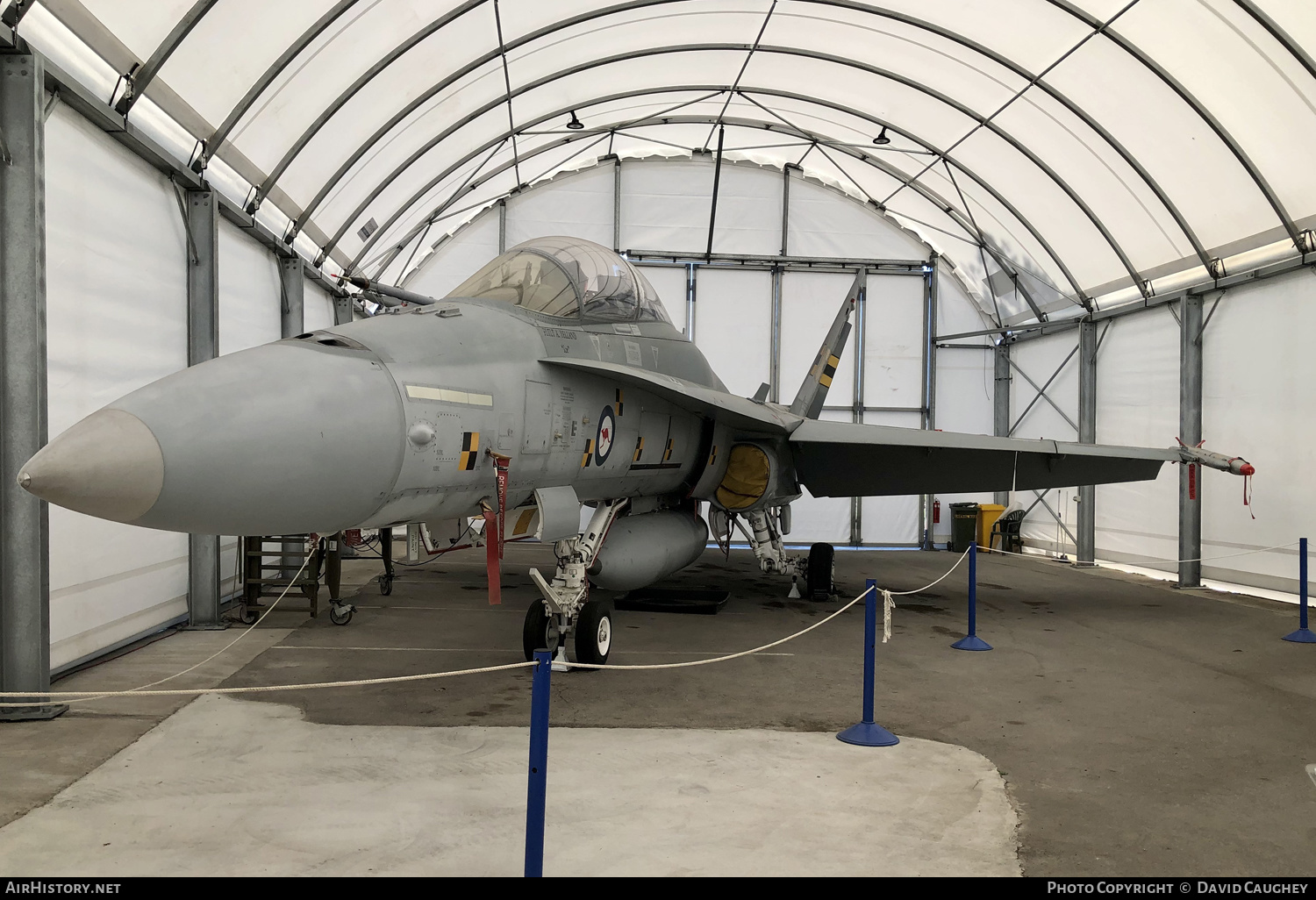 Aircraft Photo of A21-101 | McDonnell Douglas F/A-18B Hornet | Australia - Air Force | AirHistory.net #597040