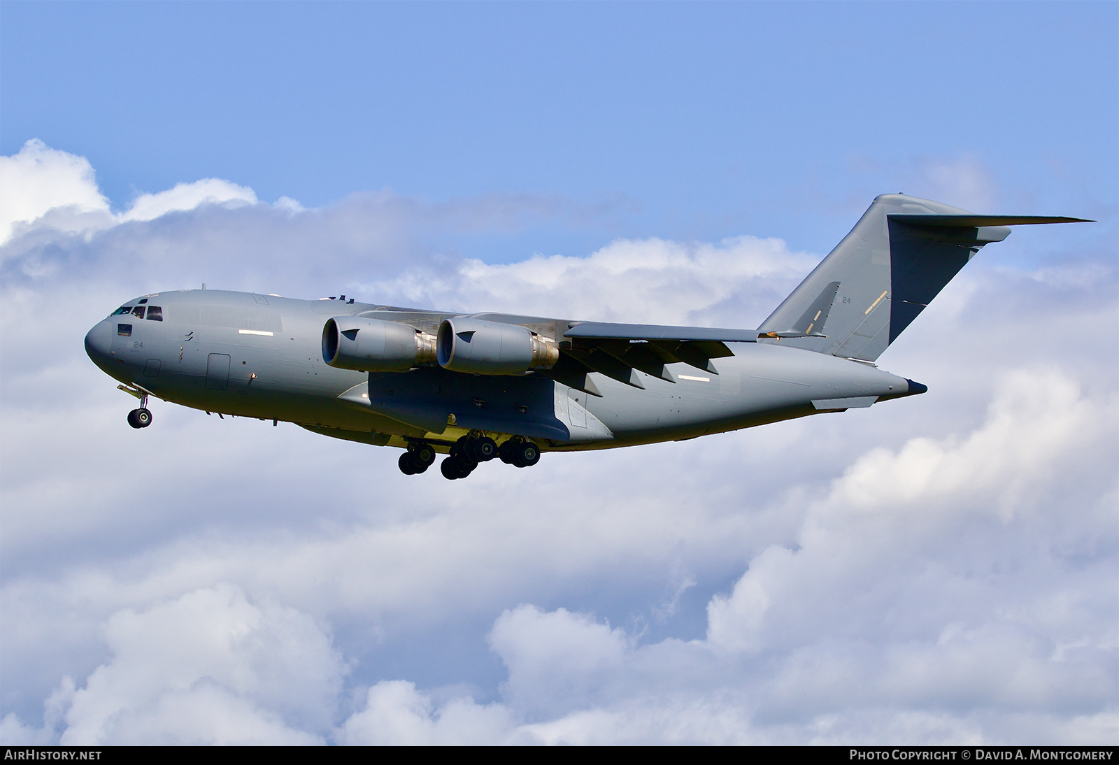 Aircraft Photo of 1224 / 100402 | Boeing C-17A Globemaster III | United Arab Emirates - Air Force | AirHistory.net #597395