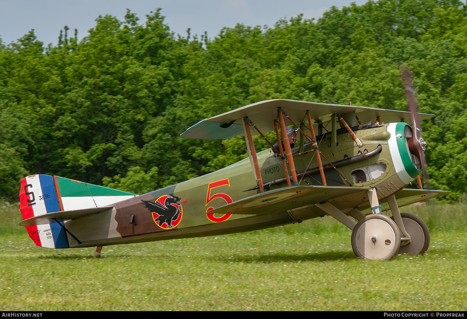 Aircraft Photo of F-AZFP / S3836 | SPAD S-XIII C1 | France - Air Force | AirHistory.net #597882