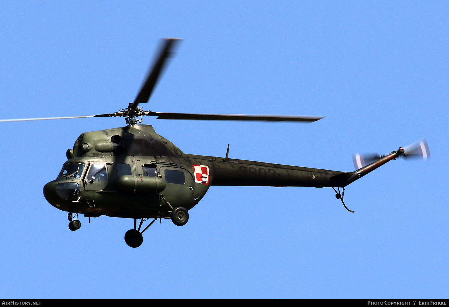 Aircraft Photo of 3803 | Mil Mi-2D | Poland - Army | AirHistory.net #598562