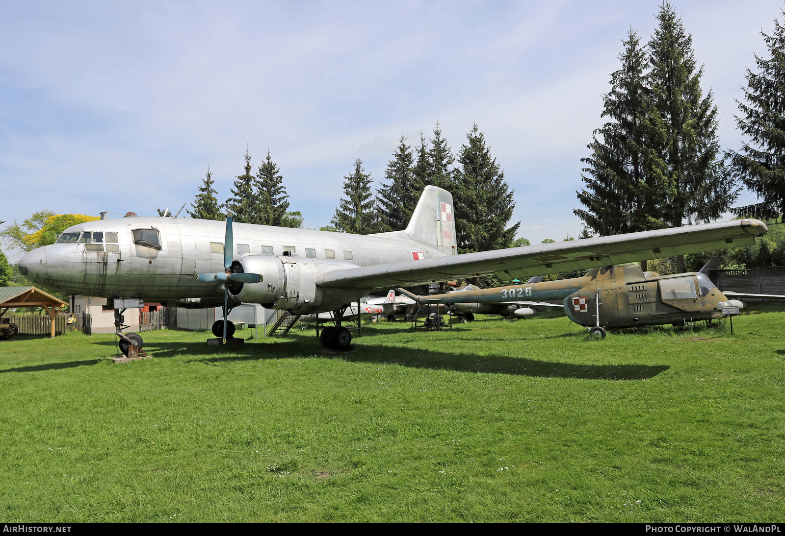 Aircraft Photo of 3054 | Ilyushin Il-14P | Poland - Air Force | AirHistory.net #599067