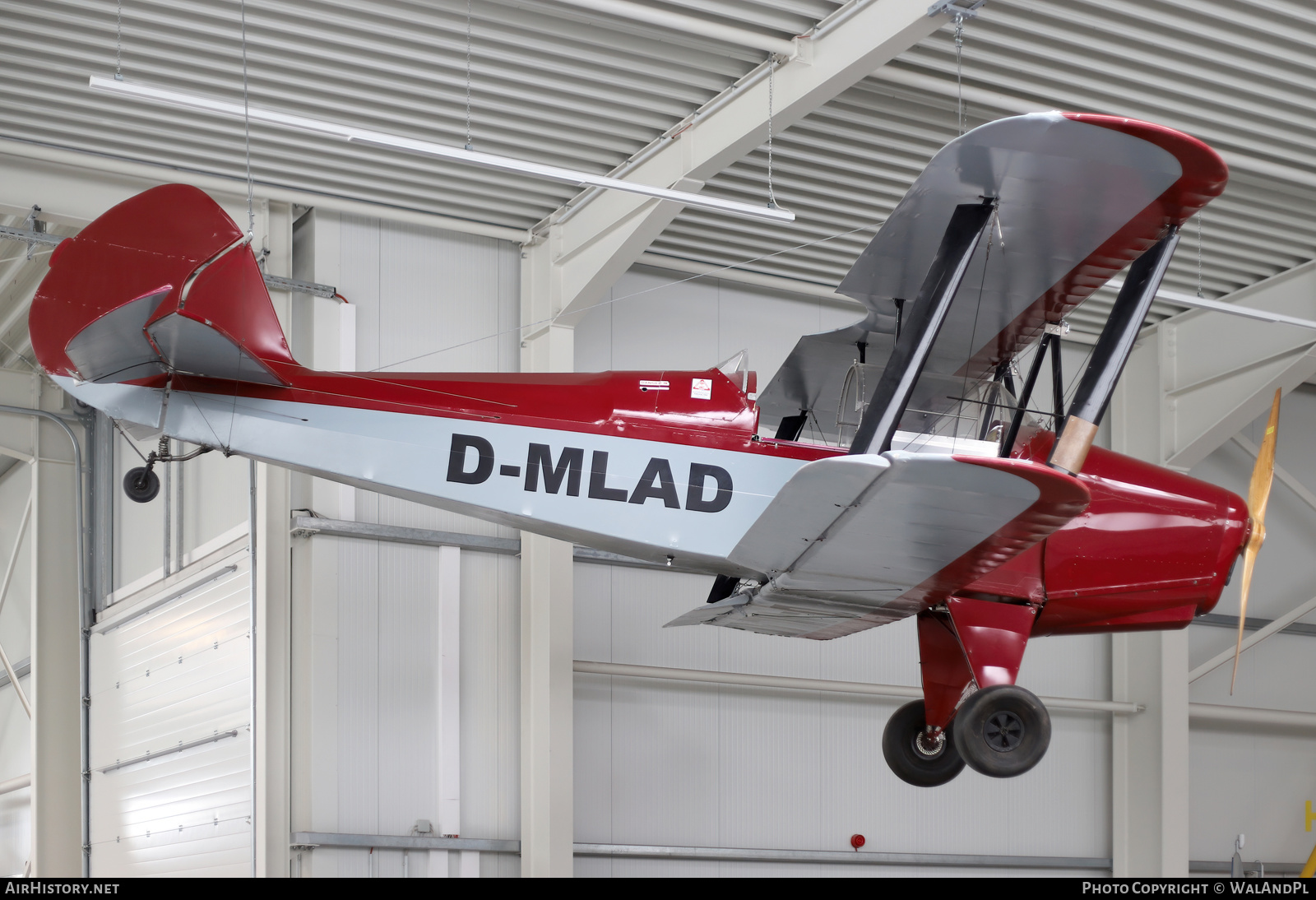 Aircraft Photo of D-MLAD | Platzer Kiebitz B | AirHistory.net #599649