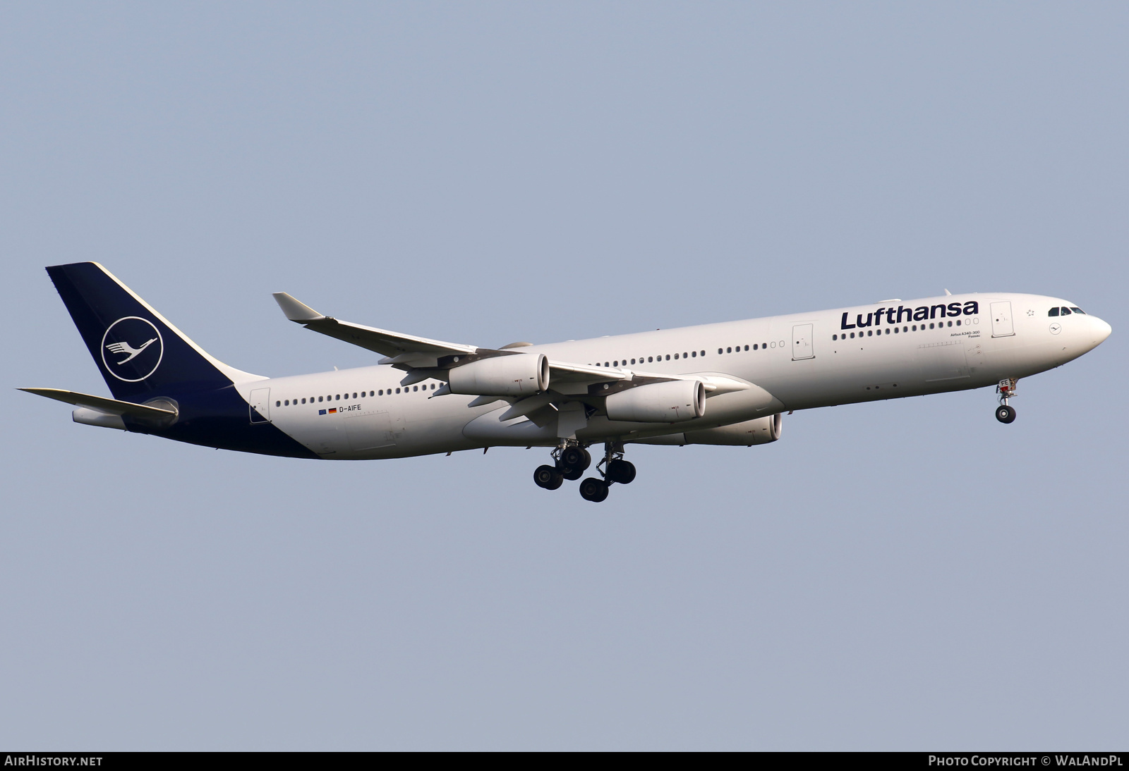 Aircraft Photo of D-AIFE | Airbus A340-313 | Lufthansa | AirHistory.net #600333