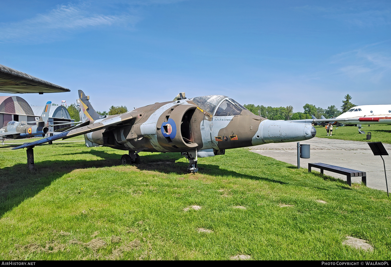 Aircraft Photo of XW919 | Hawker Siddeley Harrier GR3 | UK - Air Force | AirHistory.net #600790