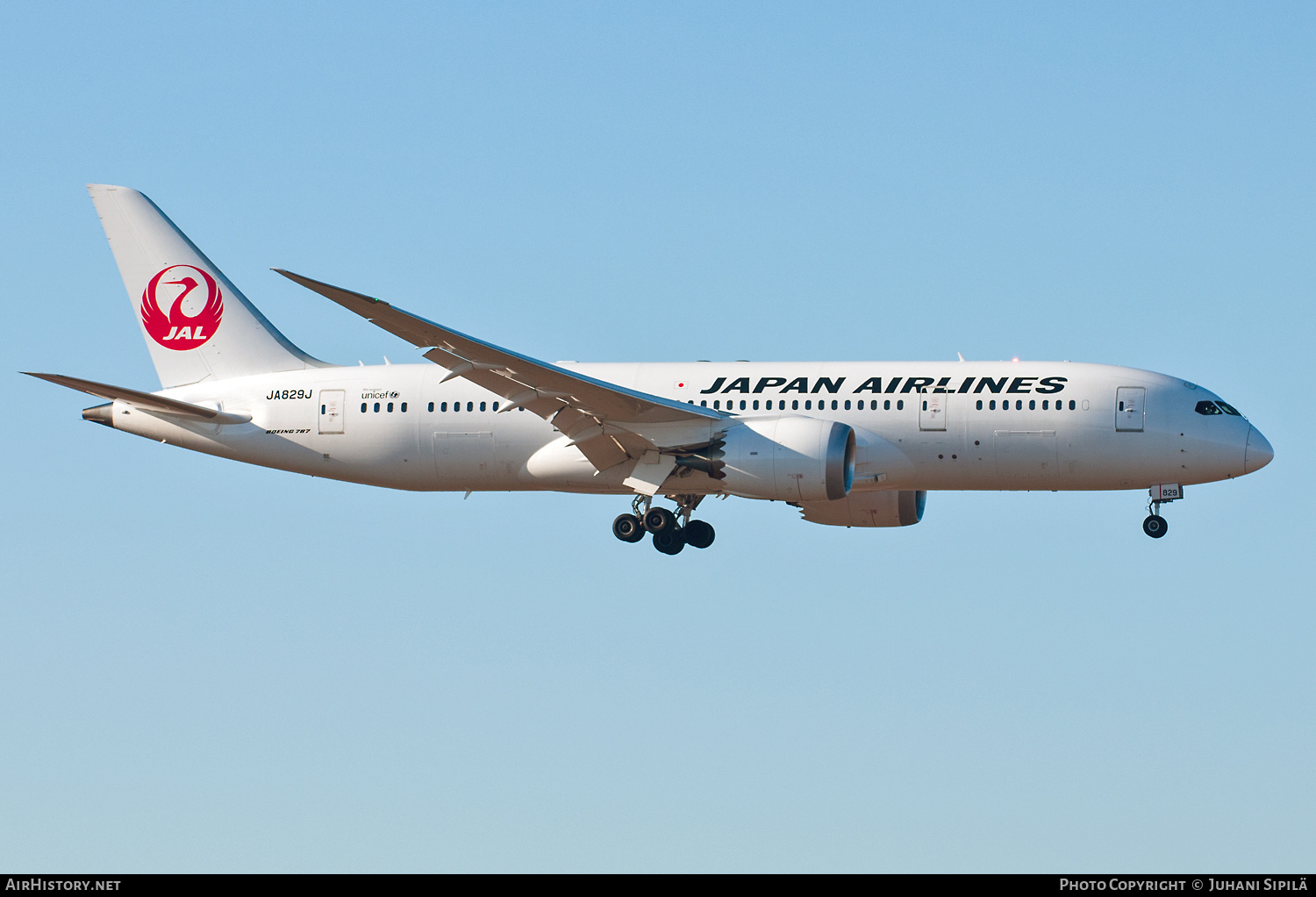 Aircraft Photo of JA829J | Boeing 787-8 Dreamliner | Japan Airlines - JAL | AirHistory.net #602704