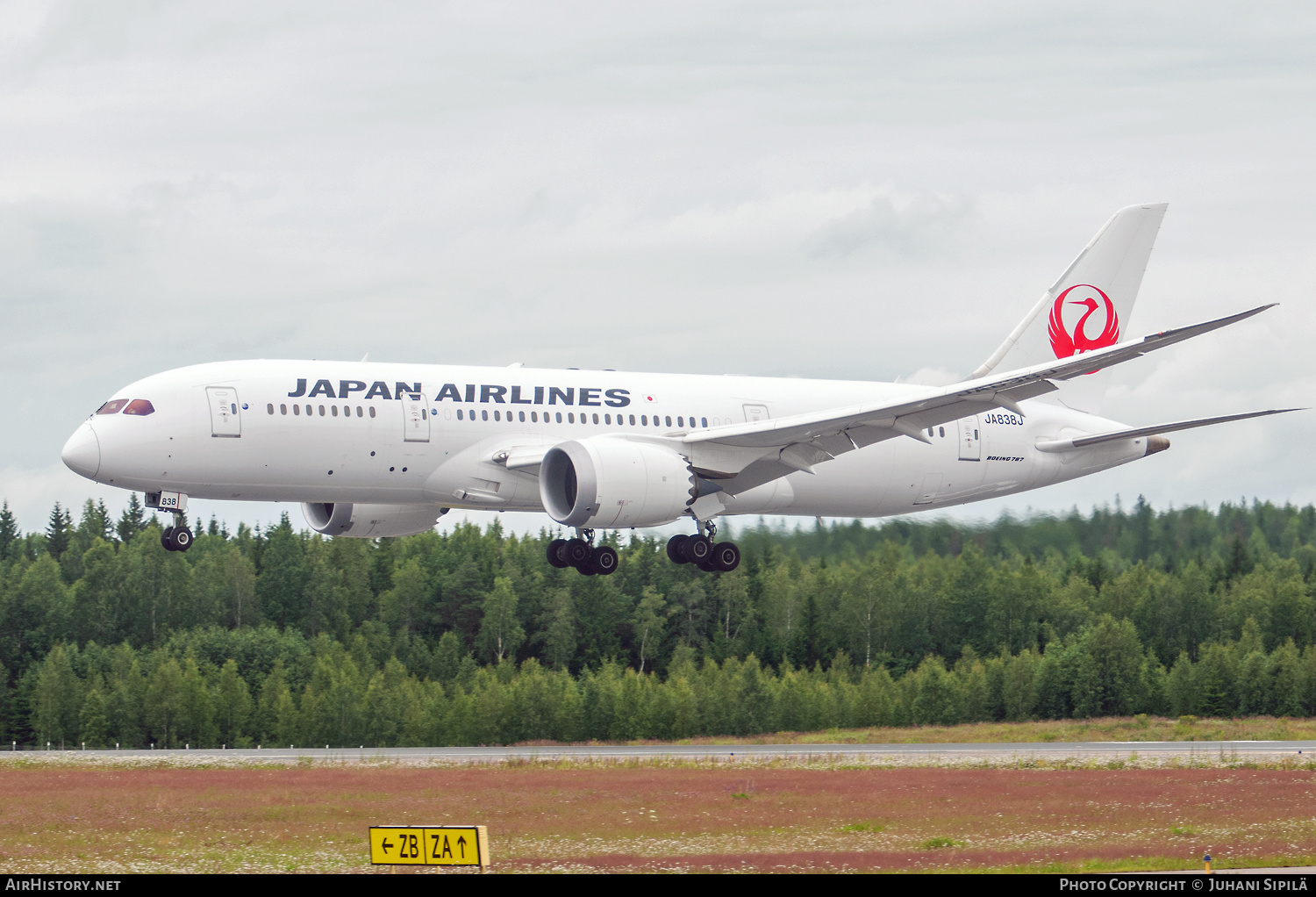 Aircraft Photo of JA838J | Boeing 787-8 Dreamliner | Japan Airlines - JAL | AirHistory.net #602738