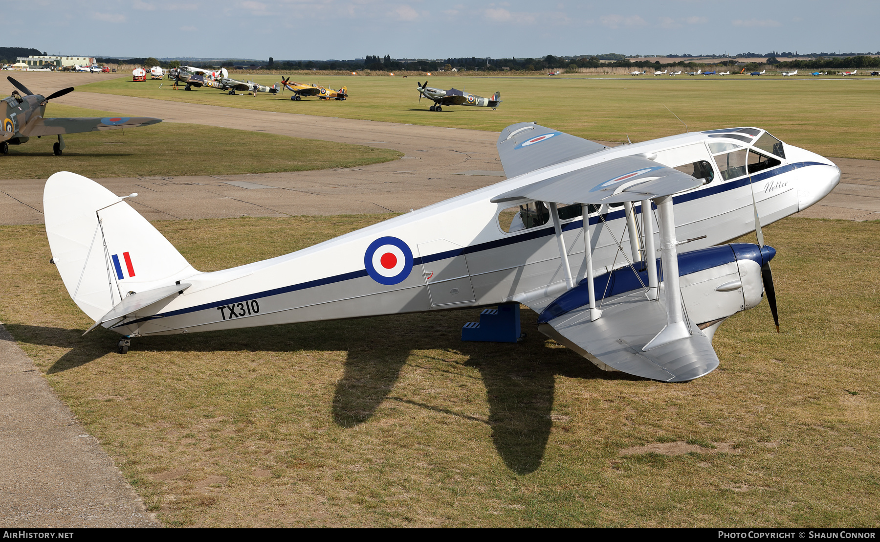 Aircraft Photo of G-AIDL / TX310 | De Havilland D.H. 89A Dragon Rapide | UK - Air Force | AirHistory.net #603390