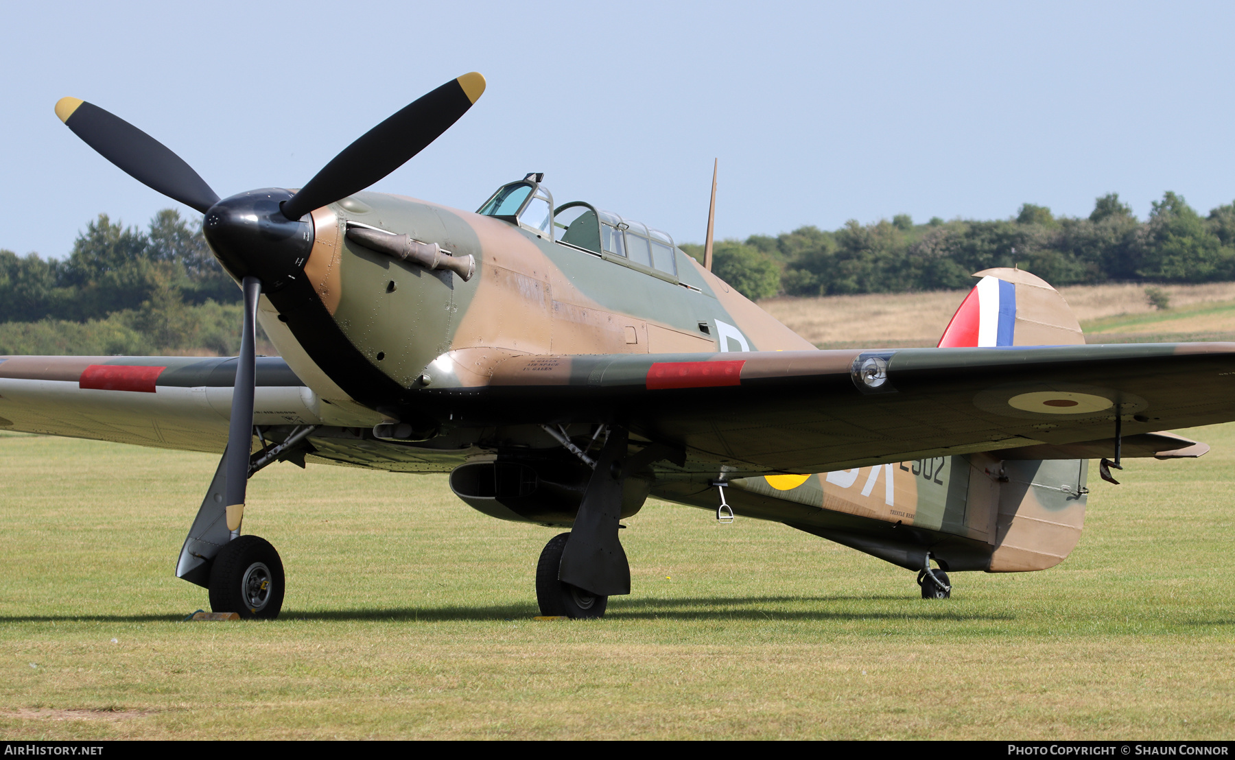 Aircraft Photo of G-ROBT / P2902 | Hawker Hurricane Mk1 | UK - Air Force | AirHistory.net #603403