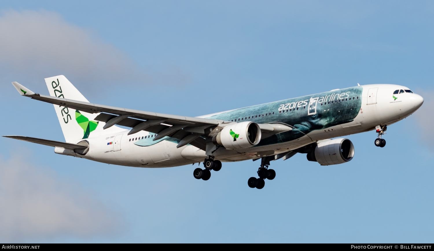 Aircraft Photo of CS-TRY | Airbus A330-223 | Azores Airlines | AirHistory.net #603452