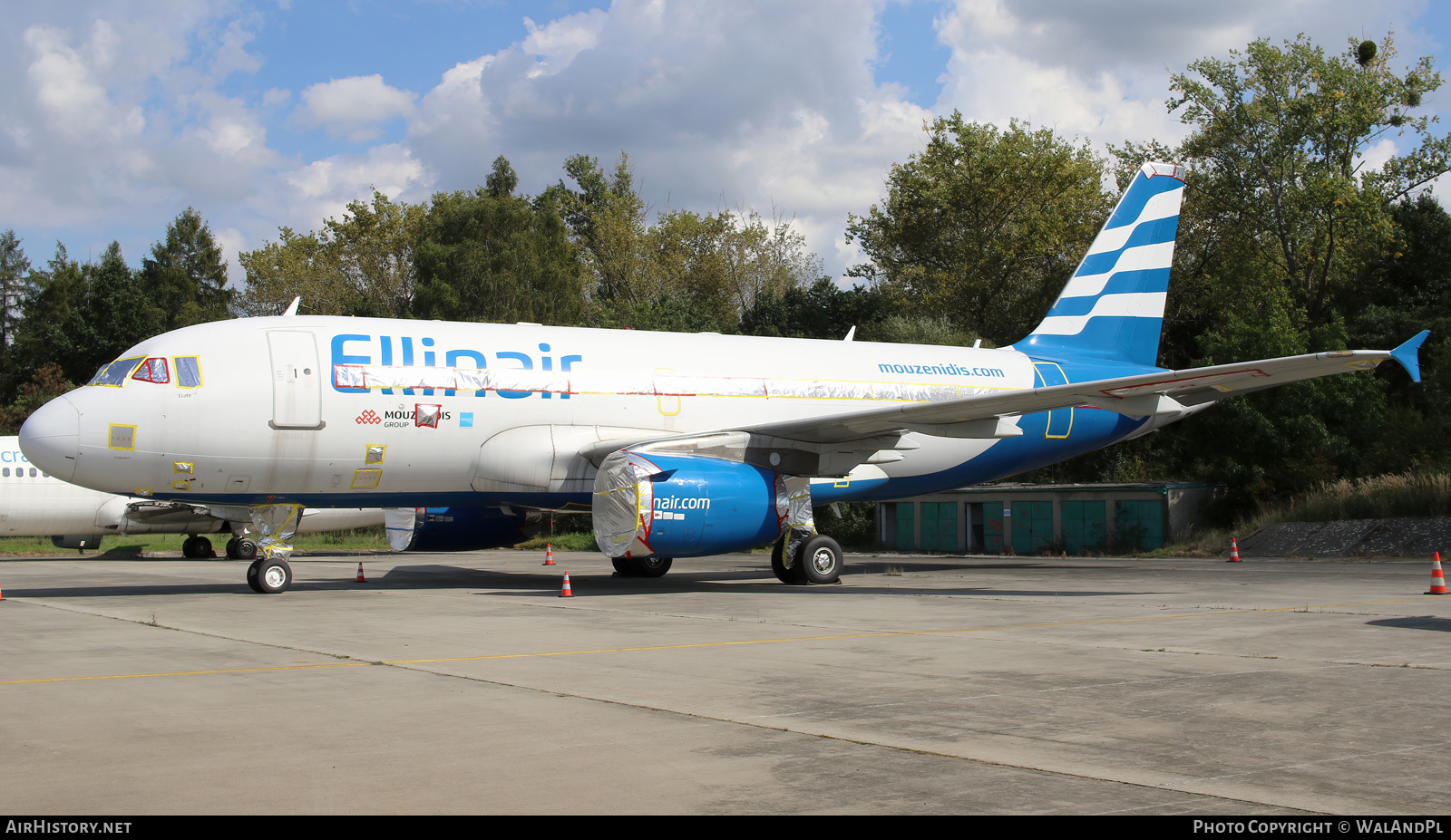 Aircraft Photo of EI-FGE | Airbus A319-133 | Ellinair | AirHistory.net #603705