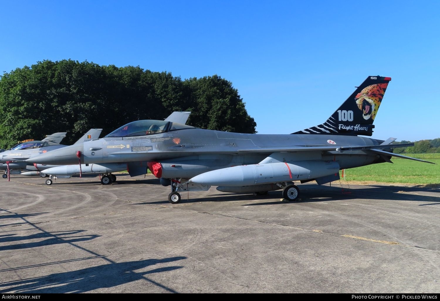 Aircraft Photo of 15101 | General Dynamics F-16AM Fighting Falcon | Portugal - Air Force | AirHistory.net #603867