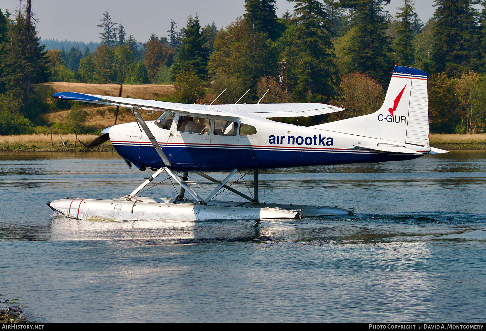 Aircraft Photo of C-GIUR | Cessna A185F Skywagon 185 | Air Nootka | AirHistory.net #603920