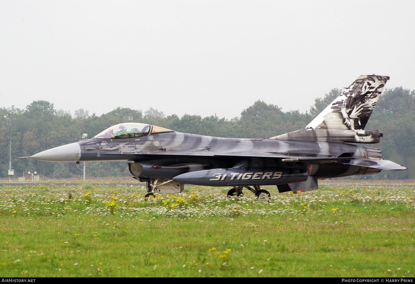 Aircraft Photo of FA-87 | General Dynamics F-16AM Fighting Falcon | Belgium - Air Force | AirHistory.net #604185
